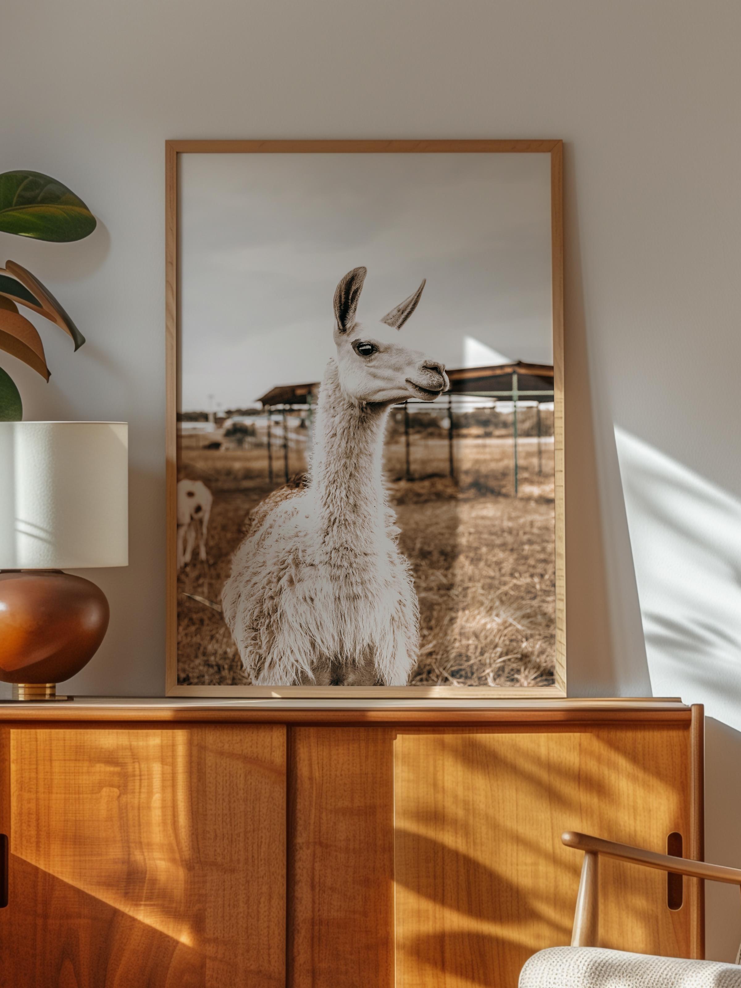 Rustic Çerçevesiz Poster, İskandinav Beyaz Poster, NO:430 Alpaka Fotoğraf