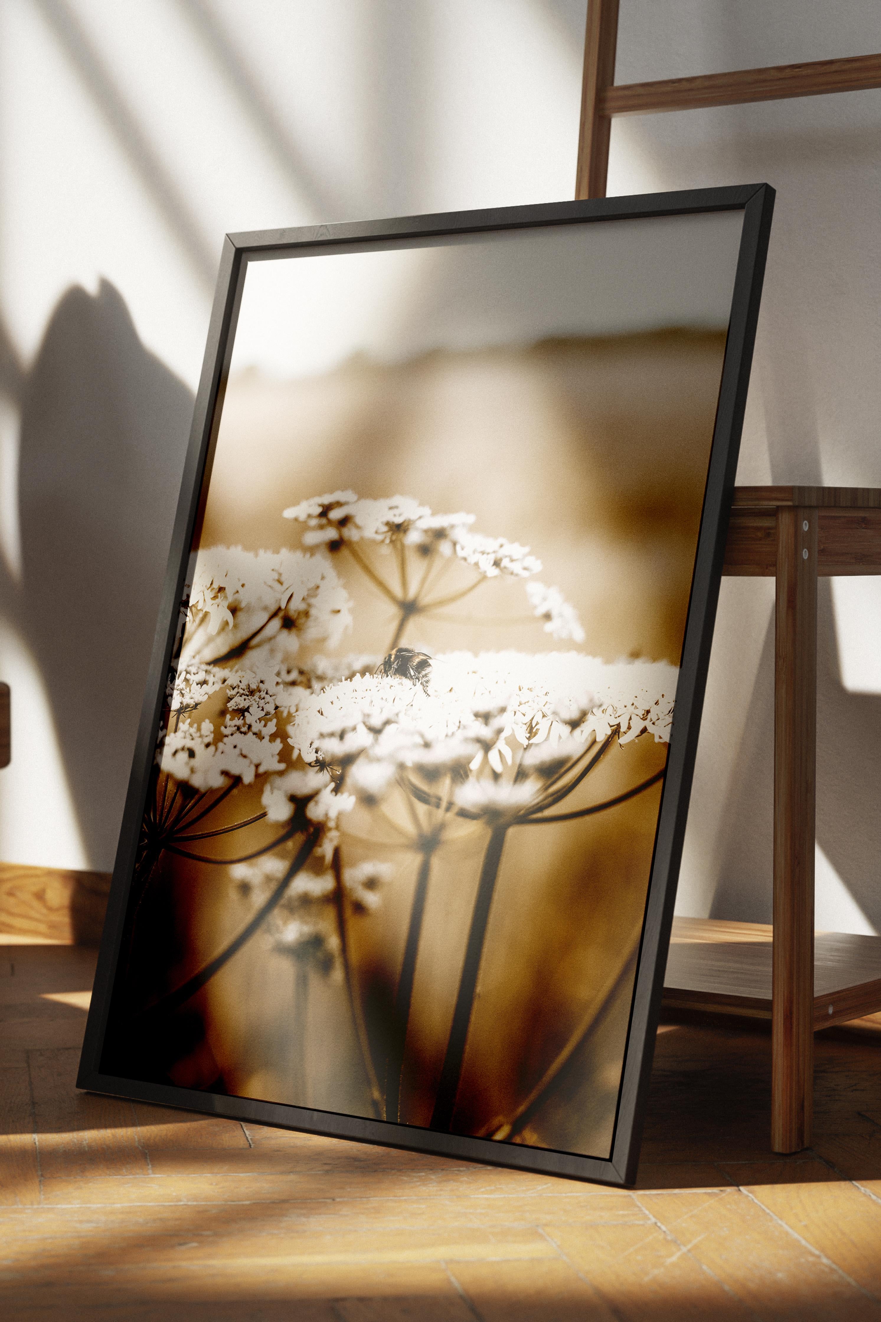 Rustic Çerçevesiz Poster, İskandinav Beyaz Poster, NO:450 Papatya Fotoğraf
