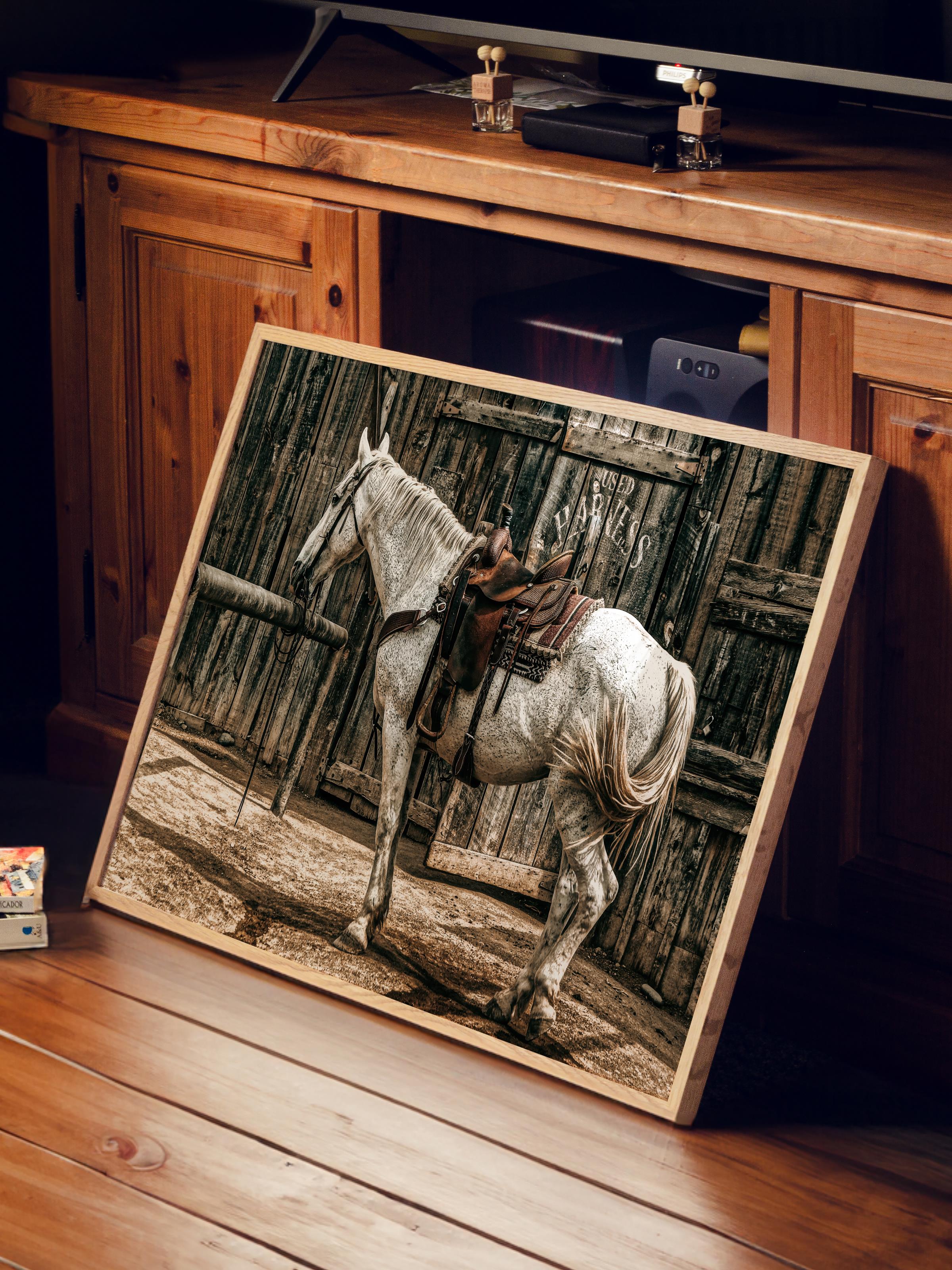 Rustic Çerçevesiz Poster, İskandinav Beyaz Tablo, NO:499 At Fotoğraf