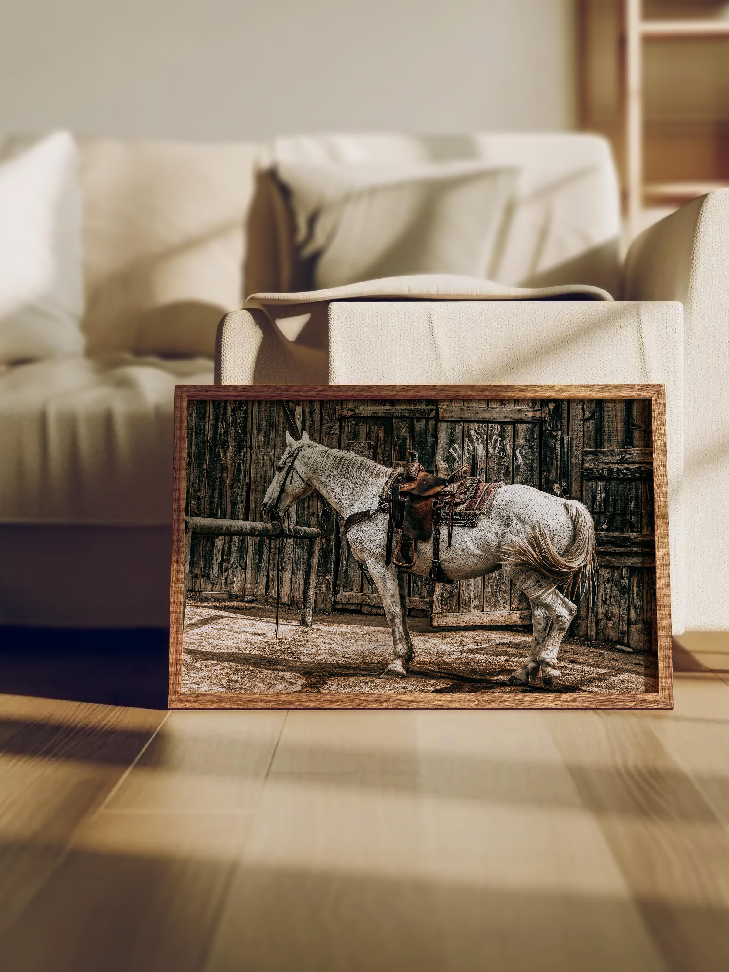 Rustic Çerçevesiz Poster, İskandinav Beyaz Tablo, NO:499 At Fotoğraf