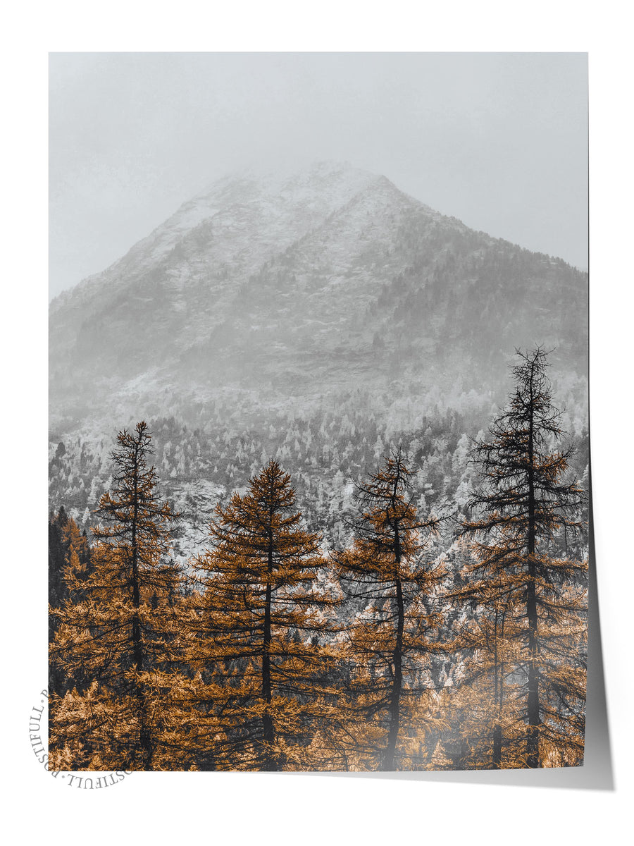 Sisli Dağ ve Sonbahar Çamları Rustic Çerçevesiz Poster