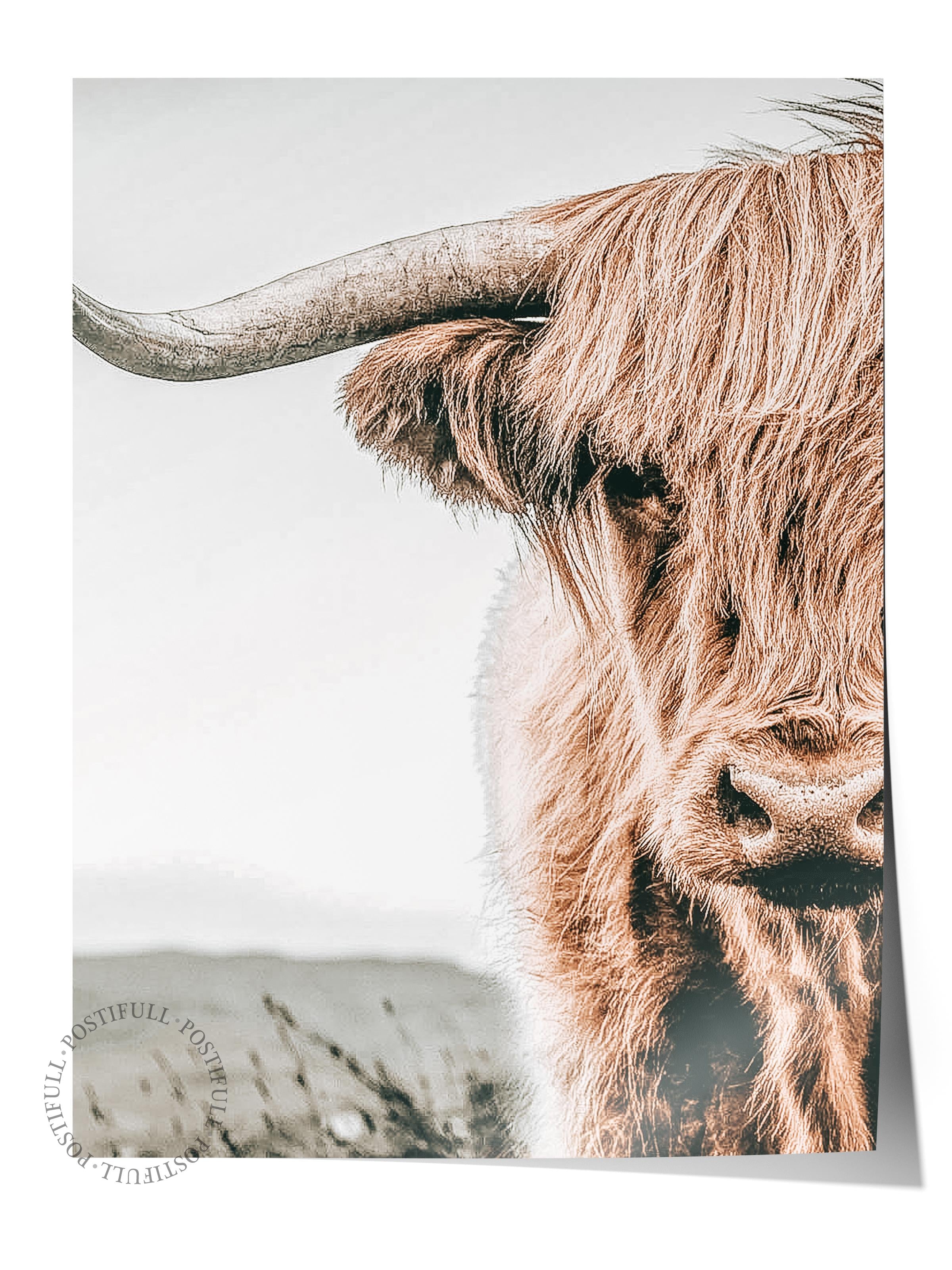 Rustic Çerçevesiz Poster, İskandinav Kahverengi Poster, NO:100 Büyükbaş Hayvan Fotoğraf, Dikey