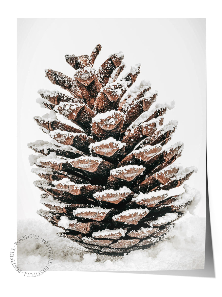 Karlı Kozalak Rustic Çerçevesiz Poster