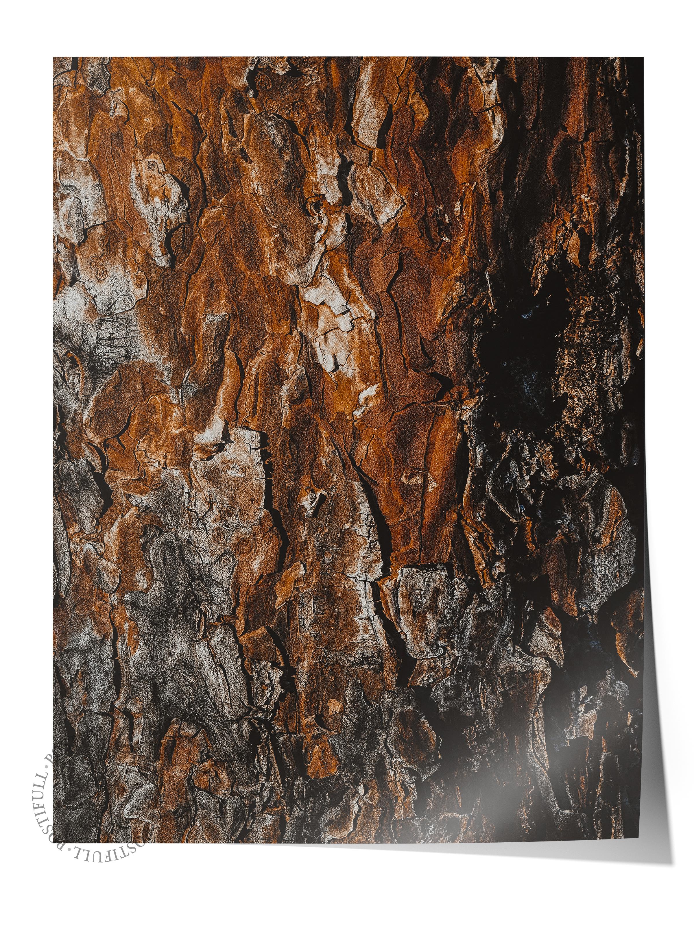 Rustic Çerçevesiz Poster, İskandinav Kahverengi Poster, NO:11 Ağaç Kabuğu Detayı Fotoğraf, Dikey