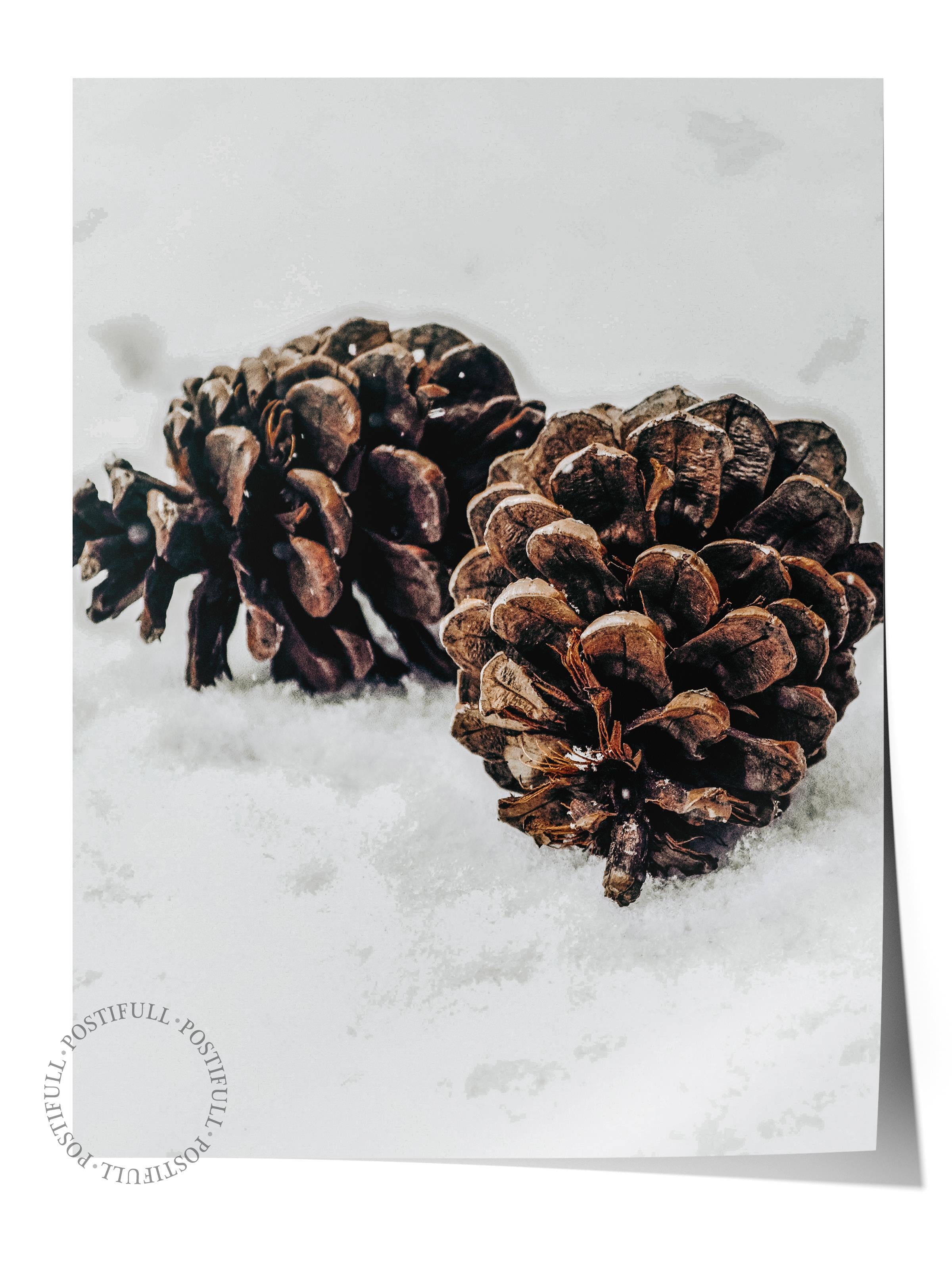 Rustic Çerçevesiz Poster, İskandinav Kahverengi Poster, NO:114 Çam Kozalakları Fotoğraf, Dikey