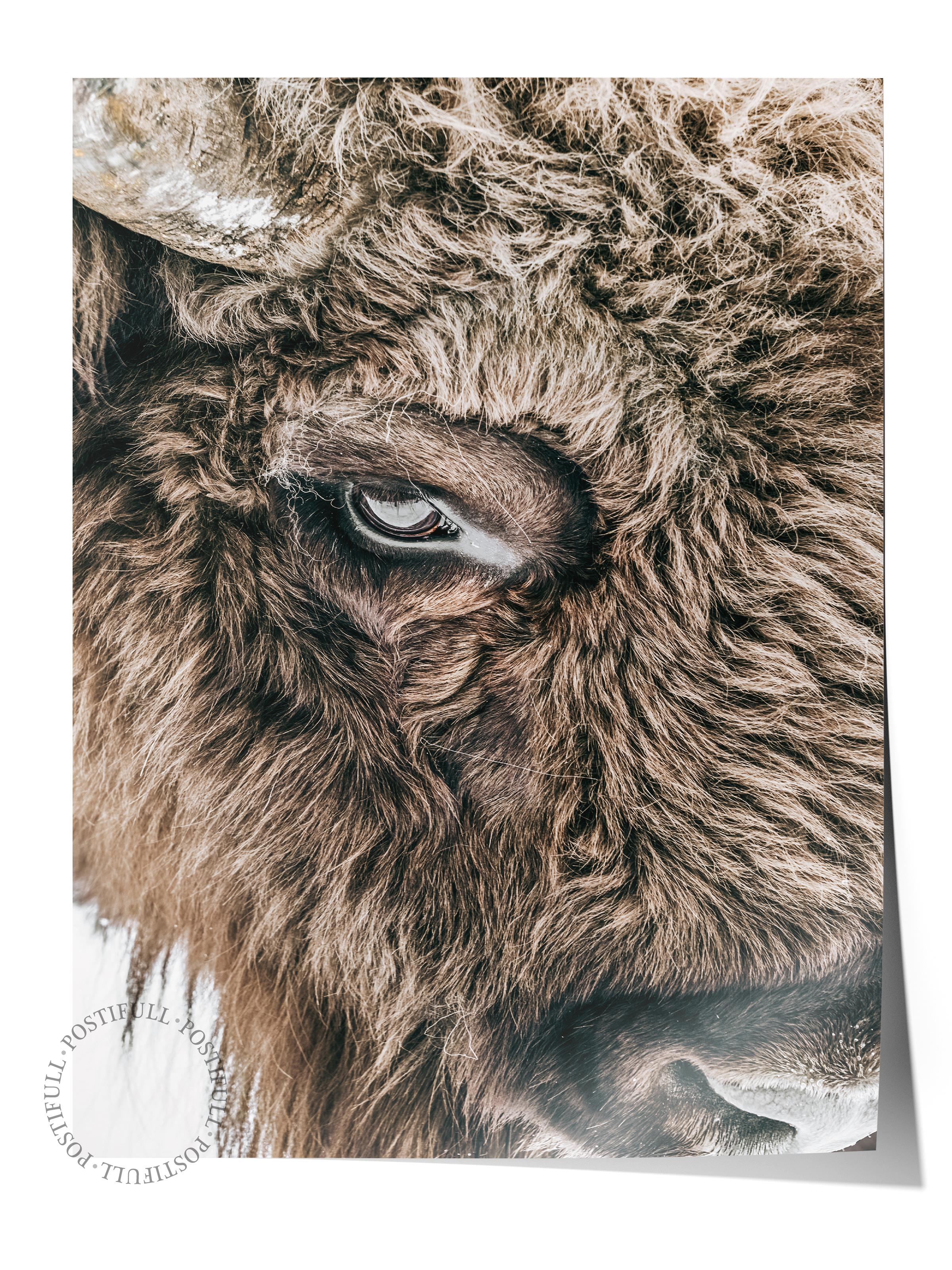 Rustic Çerçevesiz Poster, İskandinav Kahverengi Poster, NO:118 Bison Portresi Fotoğraf, Dikey