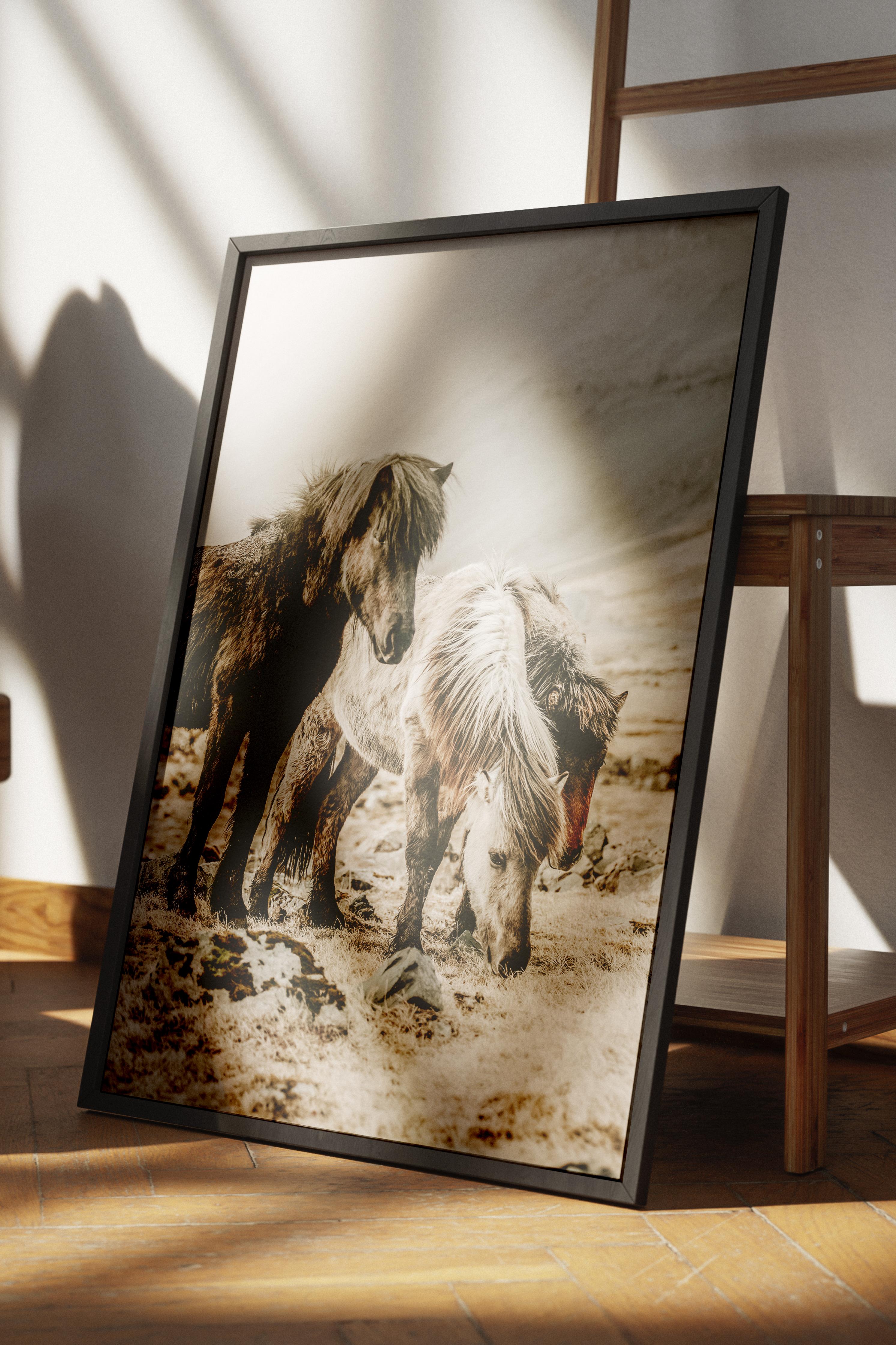 Rustic Çerçevesiz Poster, İskandinav Kahverengi Poster, NO:119 Yerde Yatan Atlar Fotoğraf, Dikey