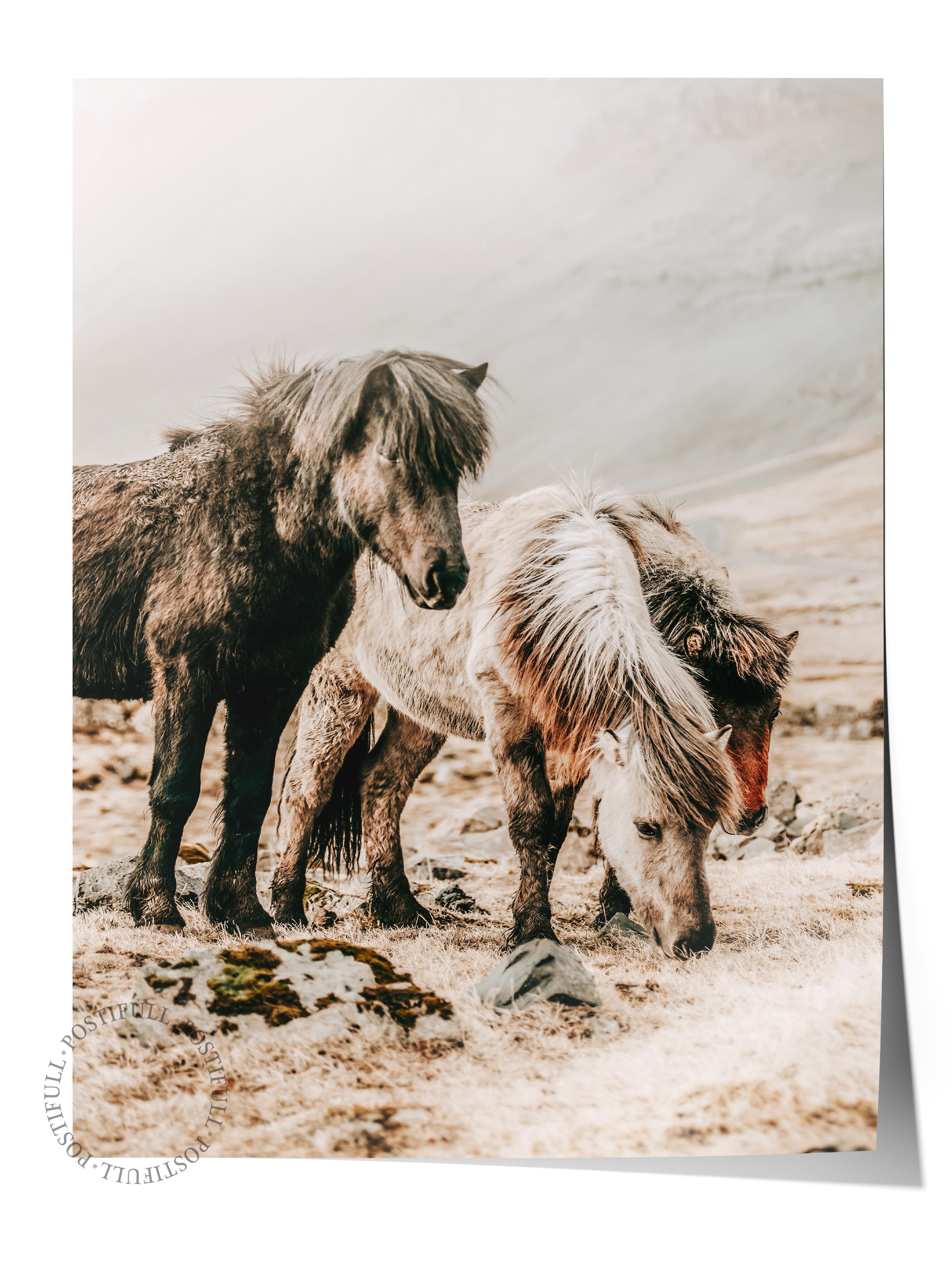 Rustic Çerçevesiz Poster, İskandinav Kahverengi Poster, NO:119 Yerde Yatan Atlar Fotoğraf, Dikey