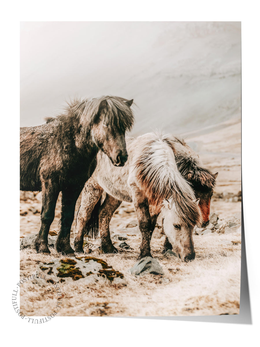 İzlanda Atları Manzarası Rustic Çerçevesiz Poster