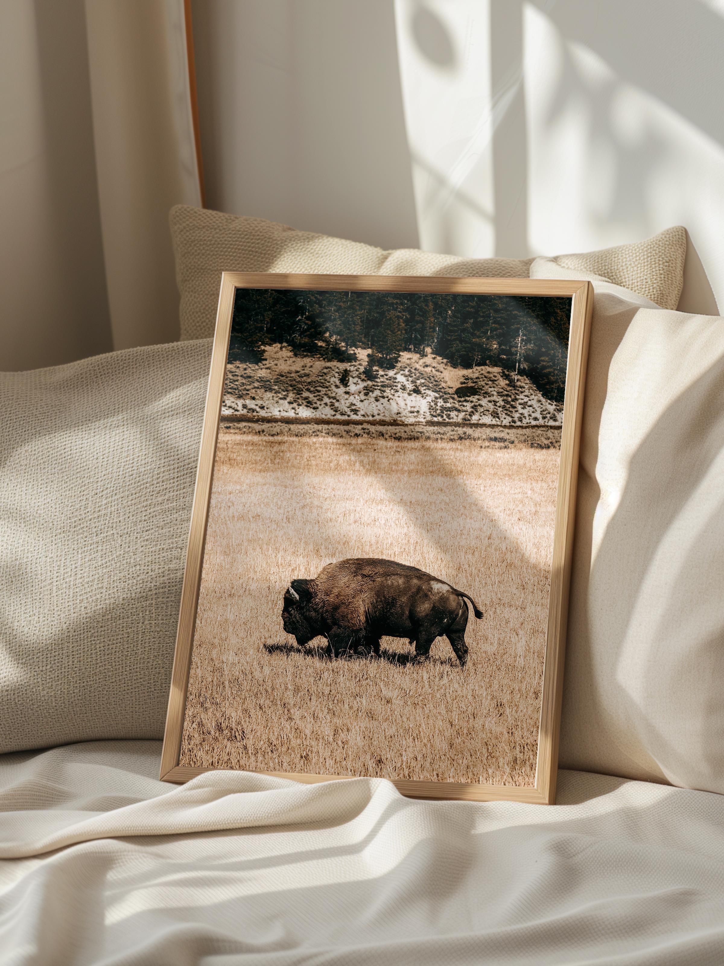 Rustic Çerçevesiz Poster, İskandinav Kahverengi Poster, NO:122 Otlayan Bison Fotoğraf, Dikey