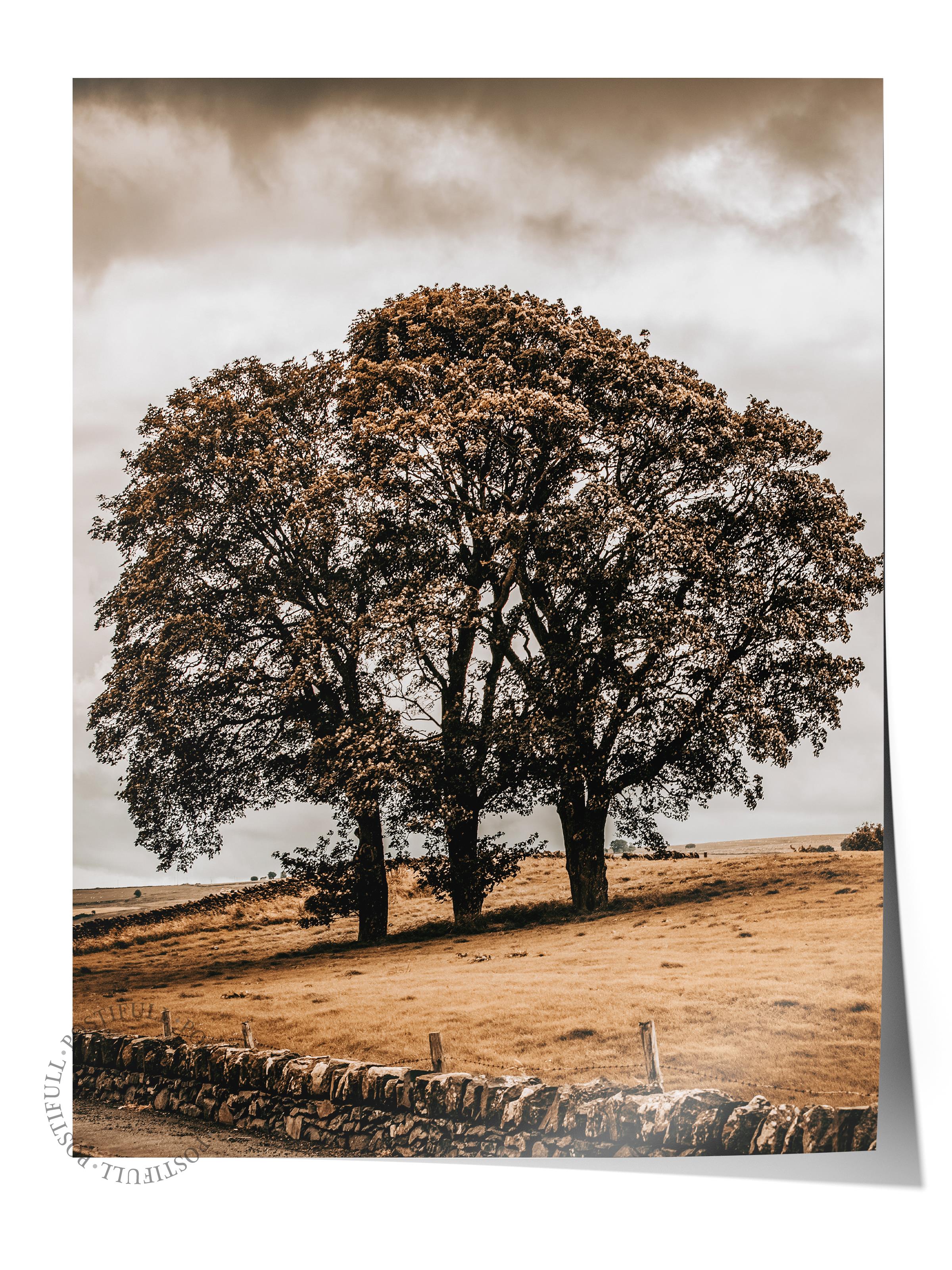 Rustic Çerçevesiz Poster, İskandinav Kahverengi Poster, NO:127 Ağaç ve Tarla Fotoğraf, Dikey