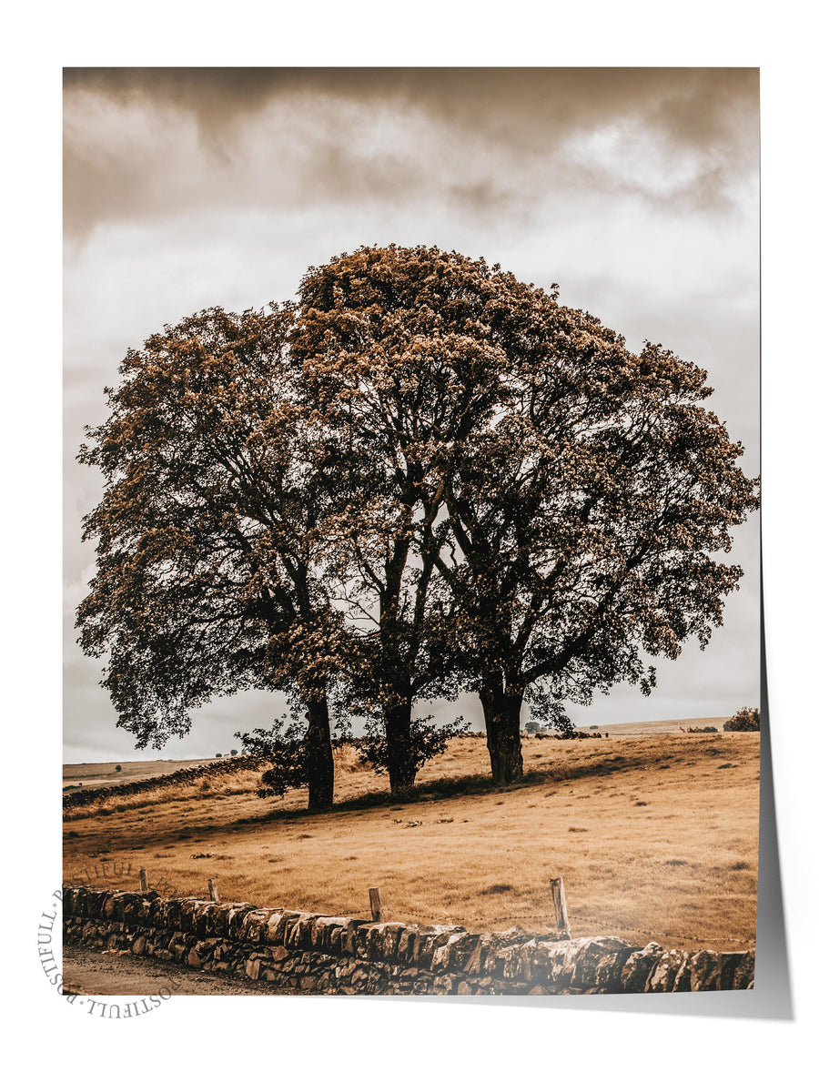 Yalnız Ağaç ve Fırtına Bulutları Rustic Çerçevesiz Poster