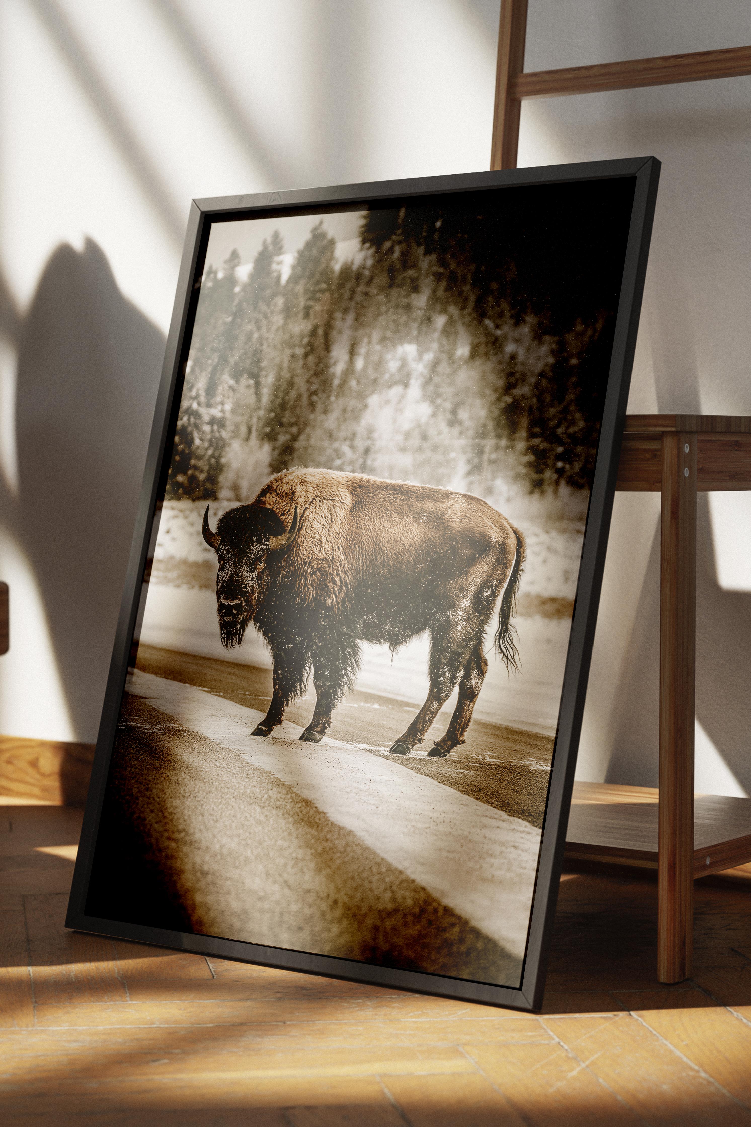 Rustic Çerçevesiz Poster, İskandinav Kahverengi Poster, NO:128 Yolda Bison Fotoğraf, Dikey