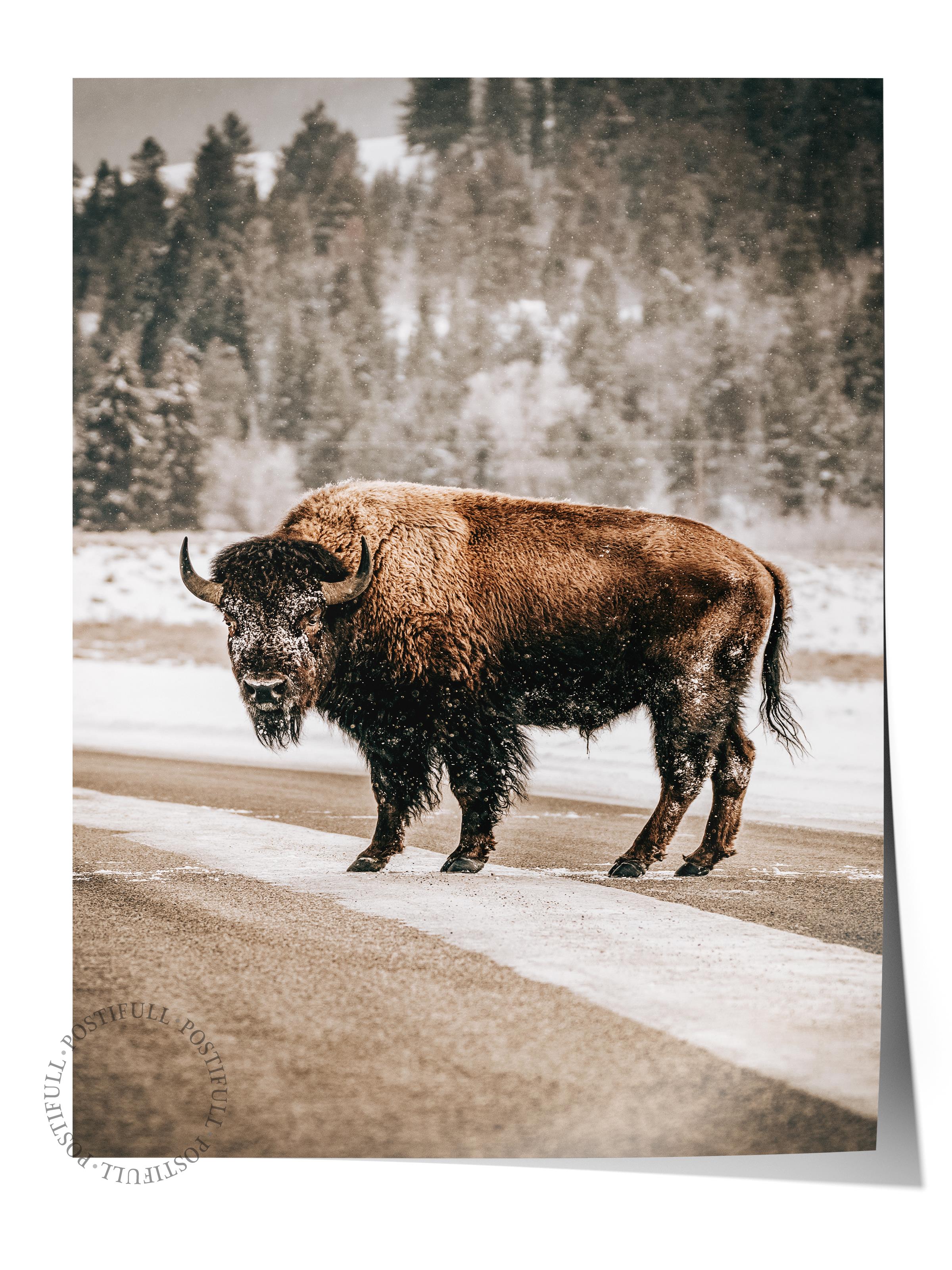 Rustic Çerçevesiz Poster, İskandinav Kahverengi Poster, NO:128 Yolda Bison Fotoğraf, Dikey