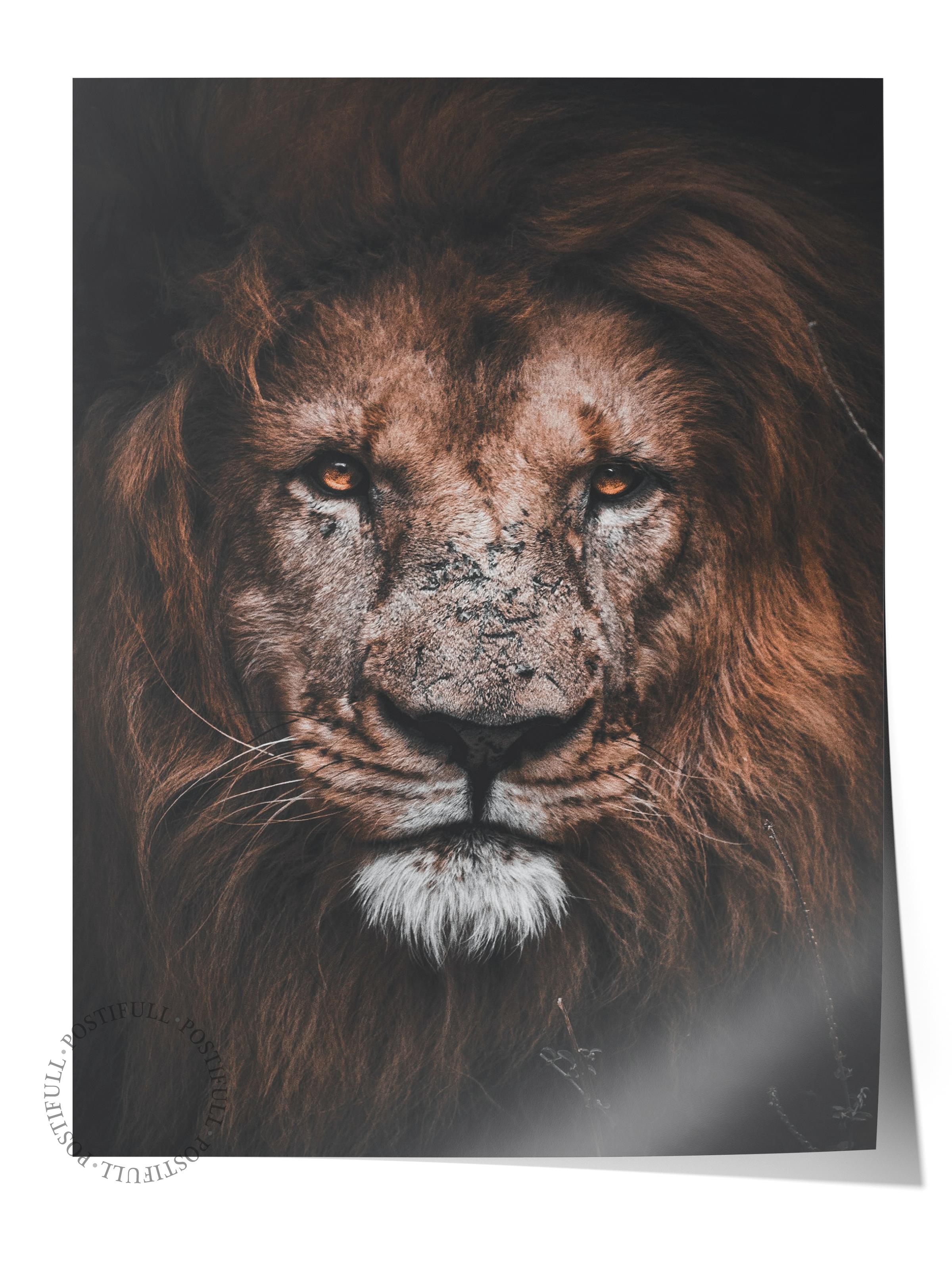 Rustic Çerçevesiz Poster, İskandinav Kahverengi Poster, NO:129 Aslan Portresi Fotoğraf, Dikey