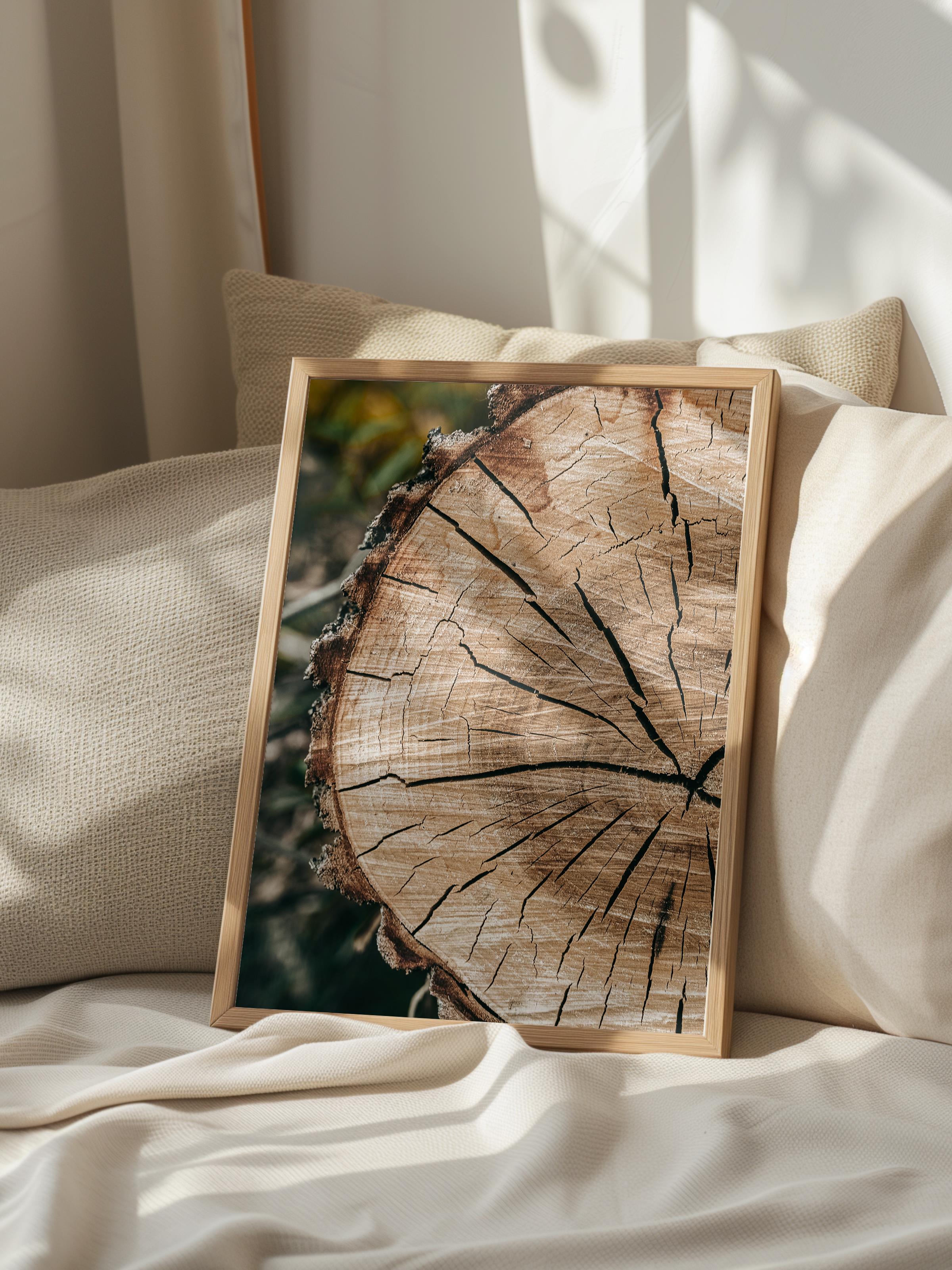 Rustic Çerçevesiz Poster, İskandinav Kahverengi Poster, NO:130 Ağaç Kesiti Yakın Plan Fotoğraf, Dikey