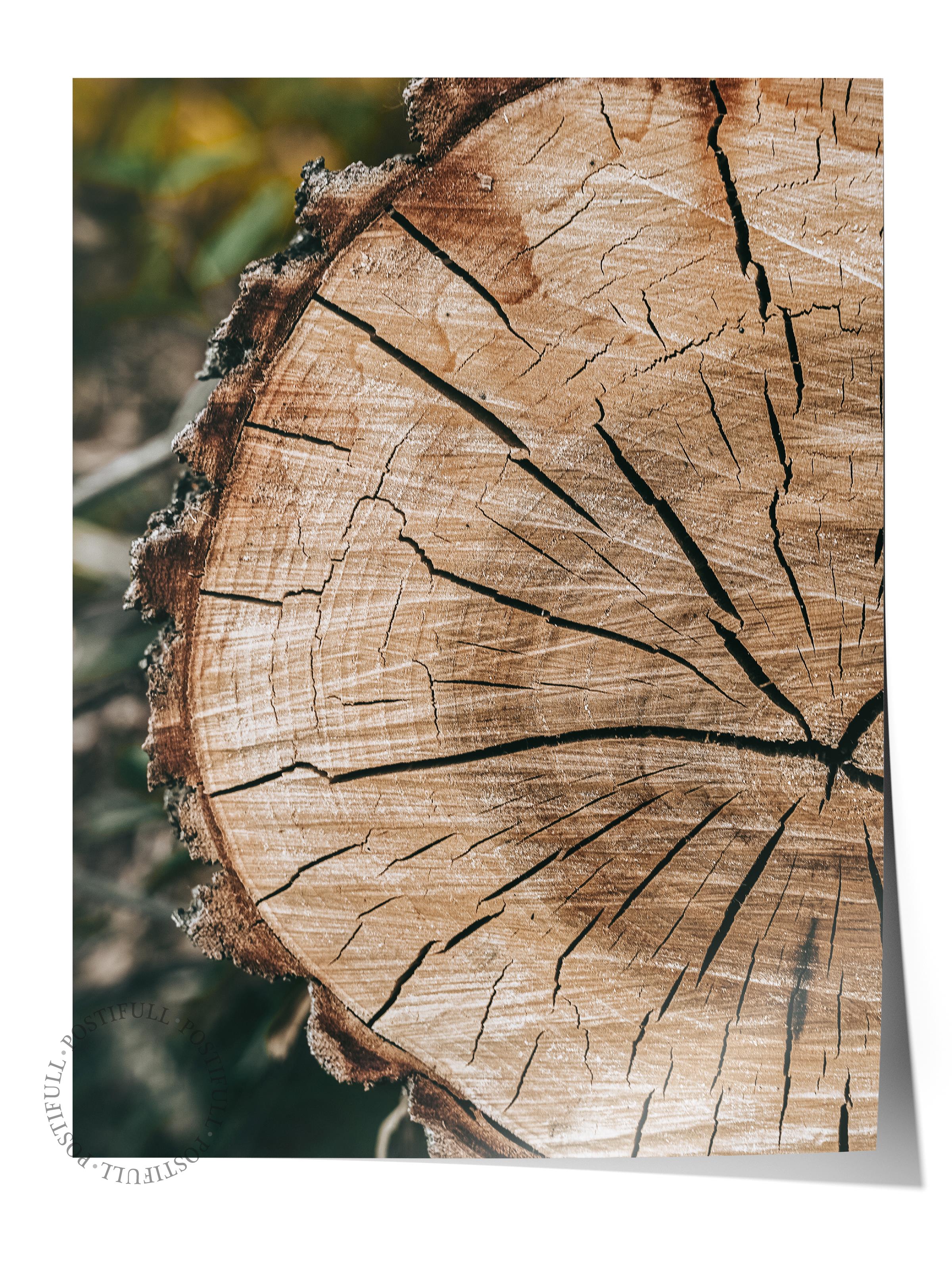 Rustic Çerçevesiz Poster, İskandinav Kahverengi Poster, NO:130 Ağaç Kesiti Yakın Plan Fotoğraf, Dikey