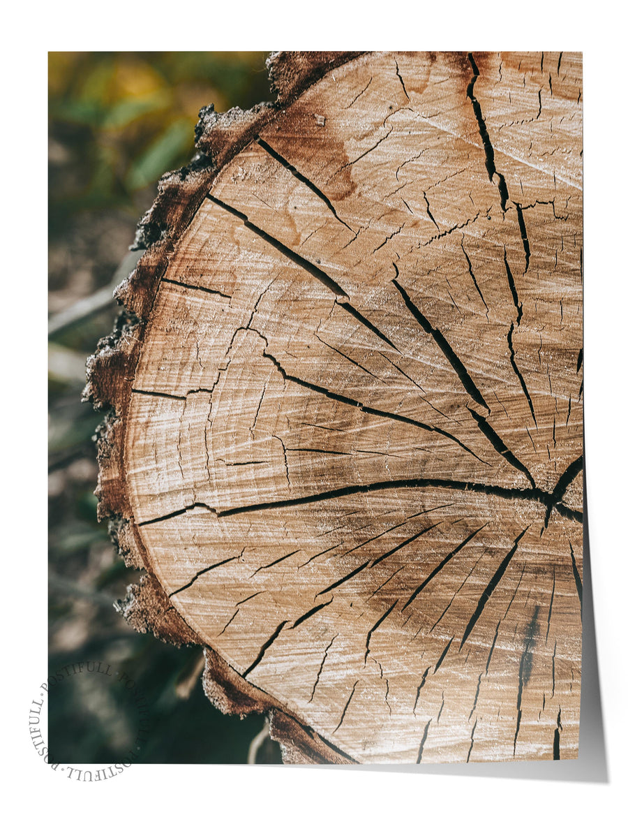 Kesilmiş Kütük Dokusu Rustic Çerçevesiz Poster