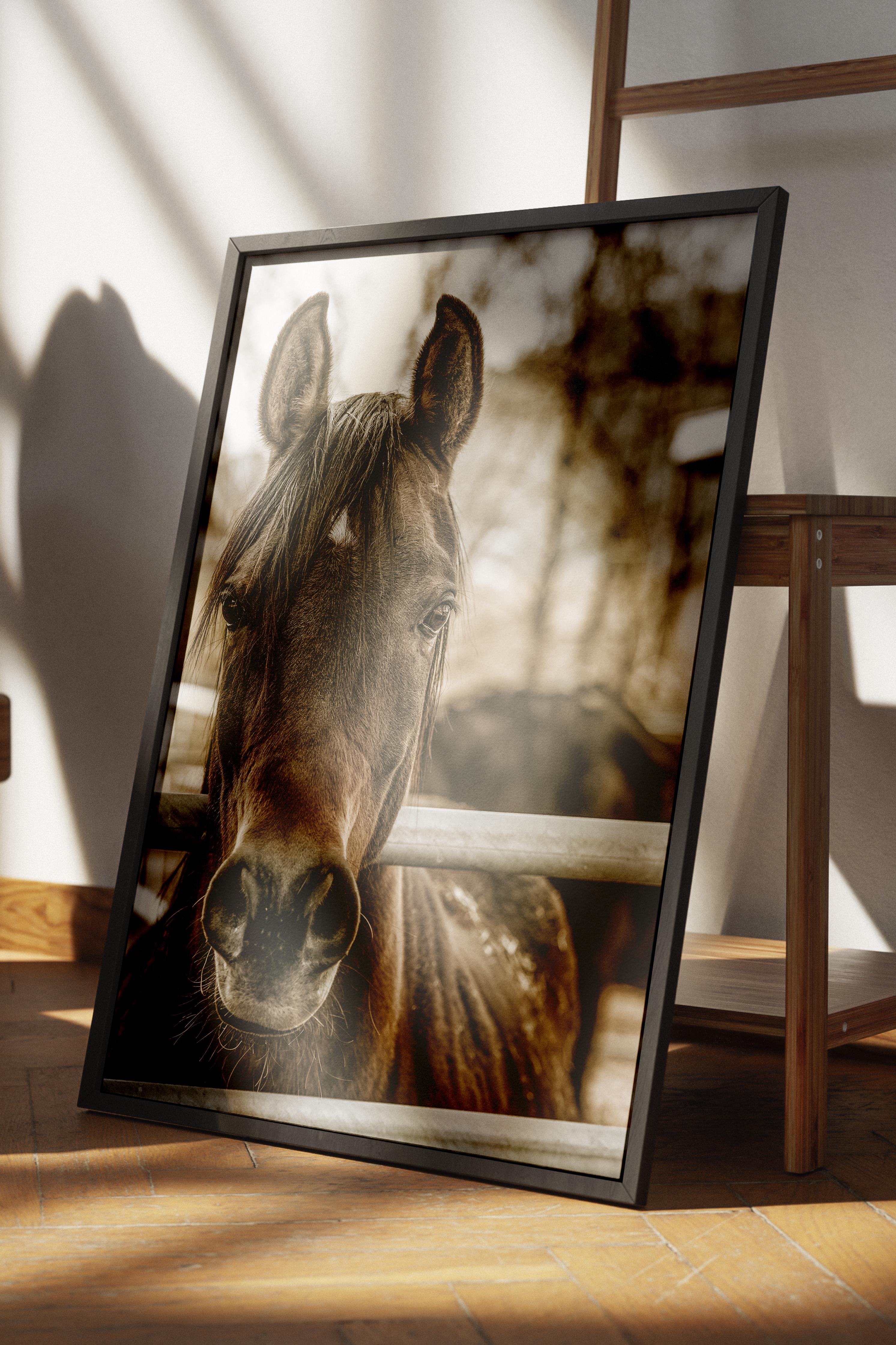 Rustic Çerçevesiz Poster, İskandinav Kahverengi Poster, NO:132 At Yakın Plan Fotoğraf, Dikey