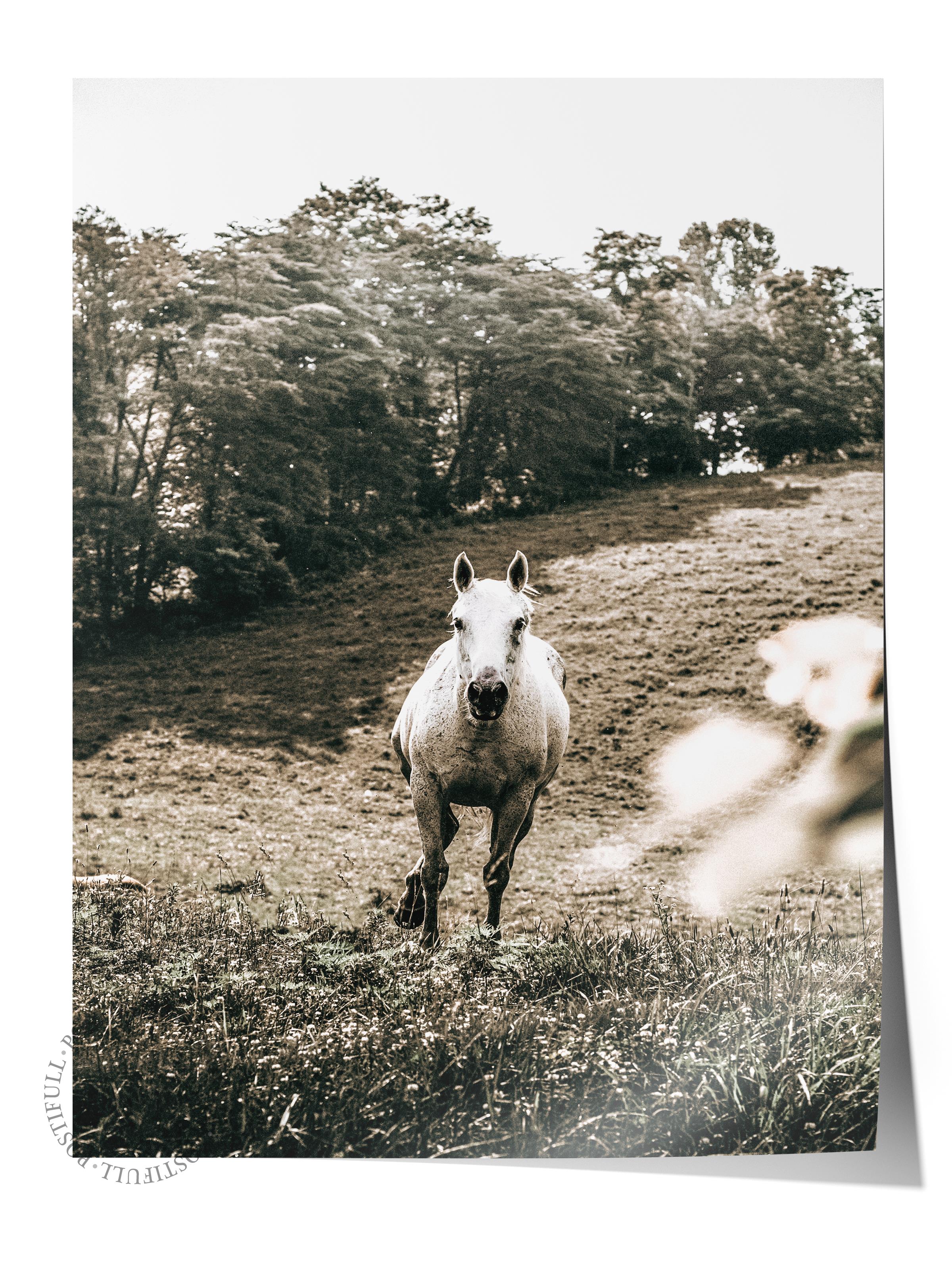 Rustic Çerçevesiz Poster, İskandinav Kahverengi Poster, NO:133 Tarlada Çalışan Çiftçiler Fotoğraf, Dikey