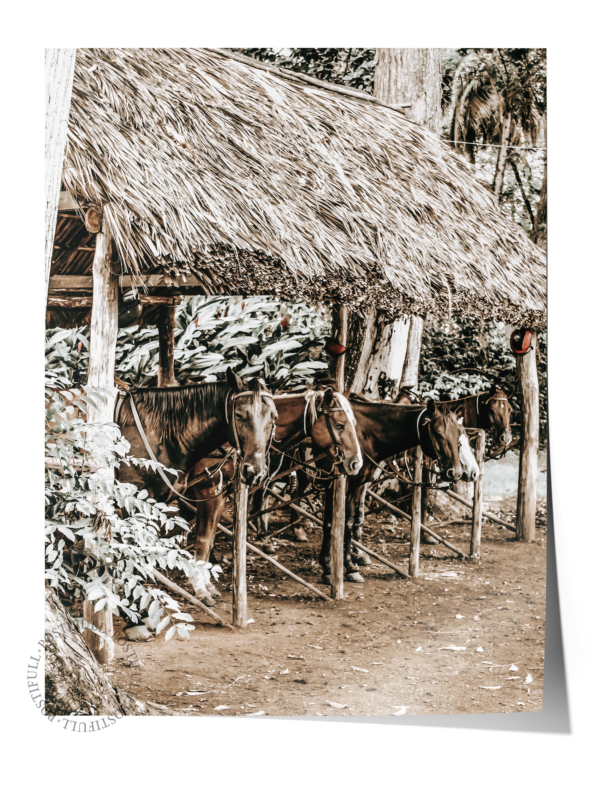 Rustic Çerçevesiz Poster, İskandinav Kahverengi Poster, NO:134 Ahşap Kulübe ve Bitkiler Fotoğraf, Dikey