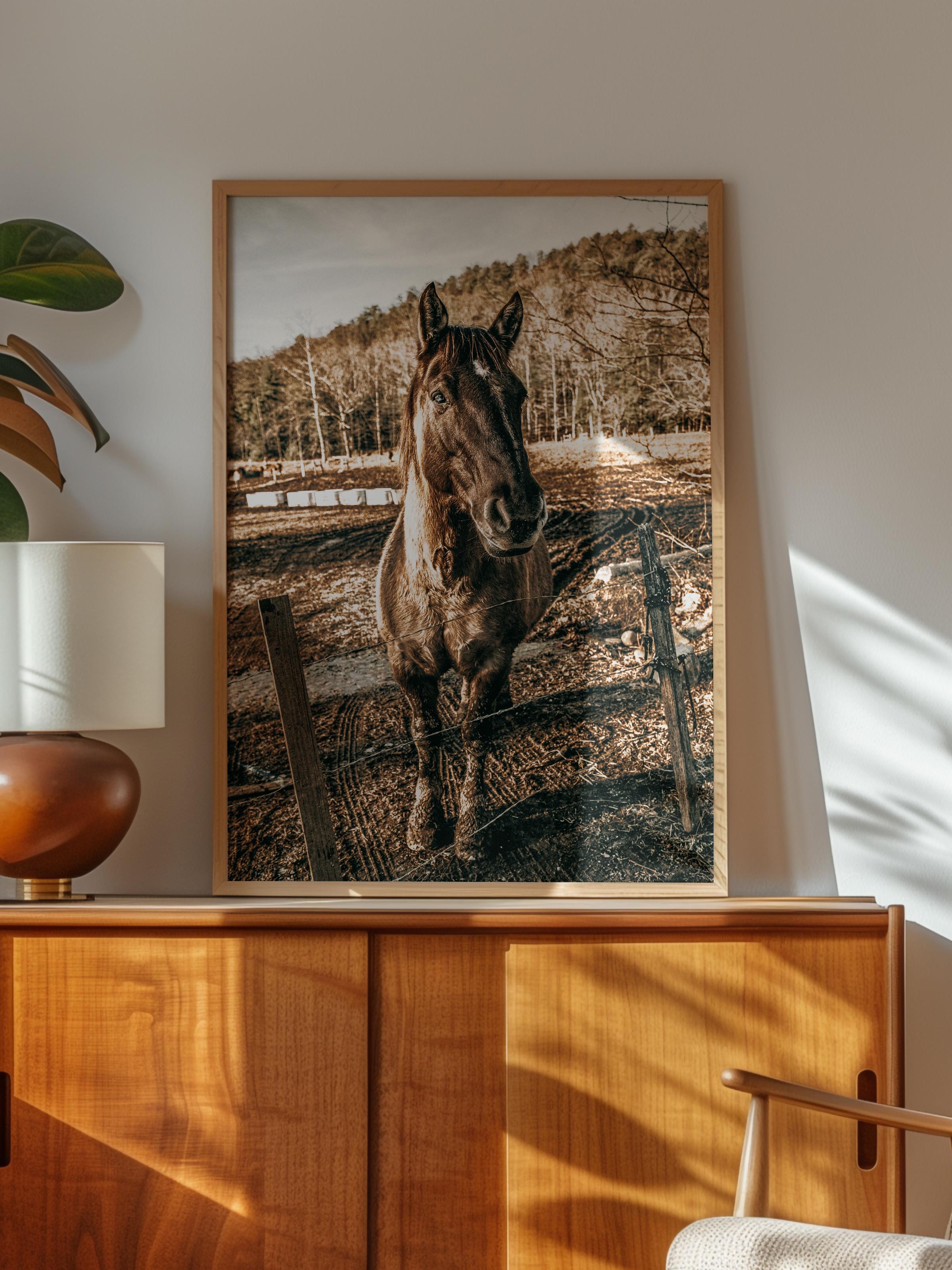 Rustic Çerçevesiz Poster, İskandinav Kahverengi Poster, NO:138 At Yakın Plan Fotoğraf, Dikey