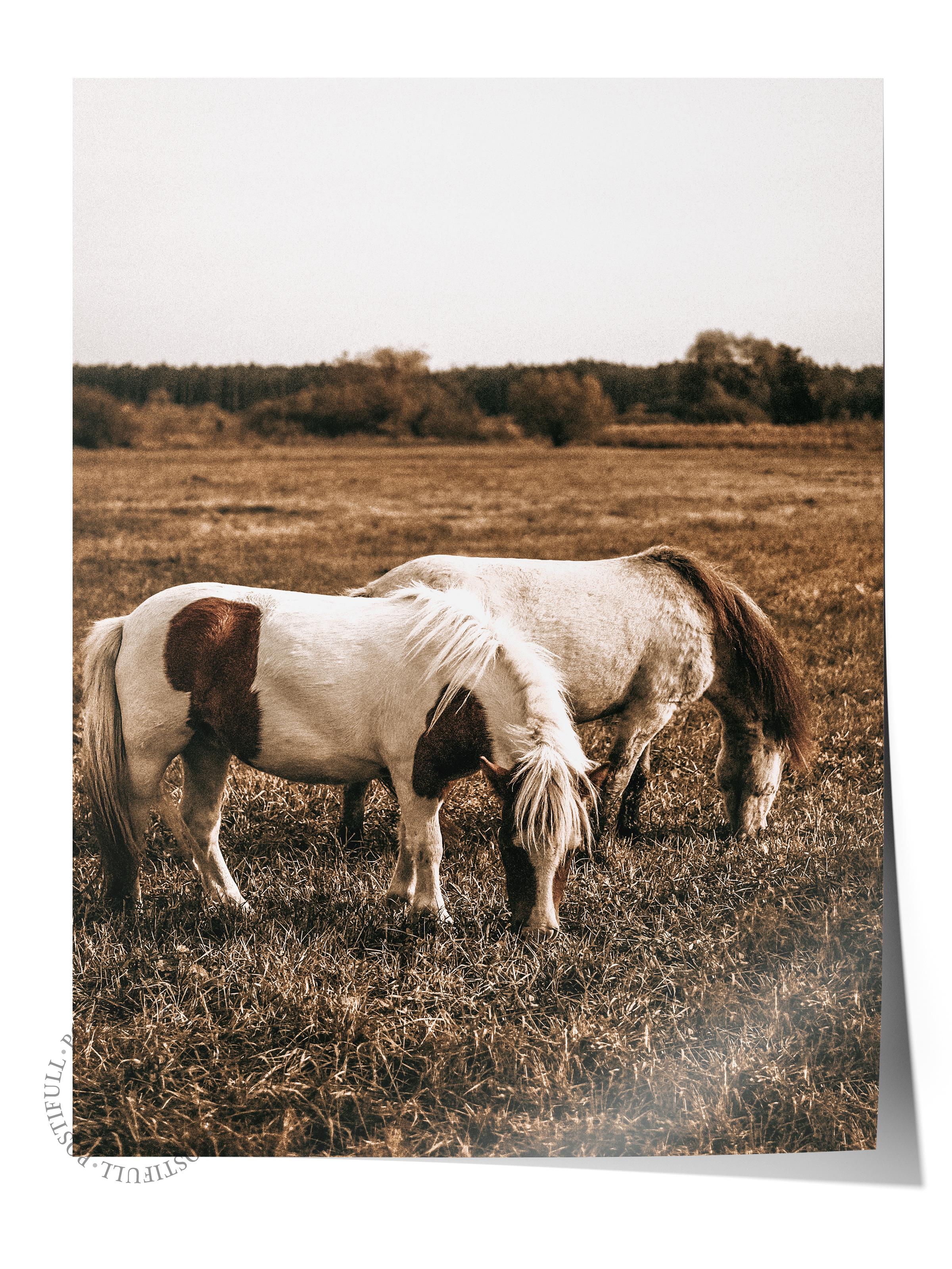 Rustic Çerçevesiz Poster, İskandinav Kahverengi Poster, NO:139 Otlayan Atlar Fotoğraf, Dikey