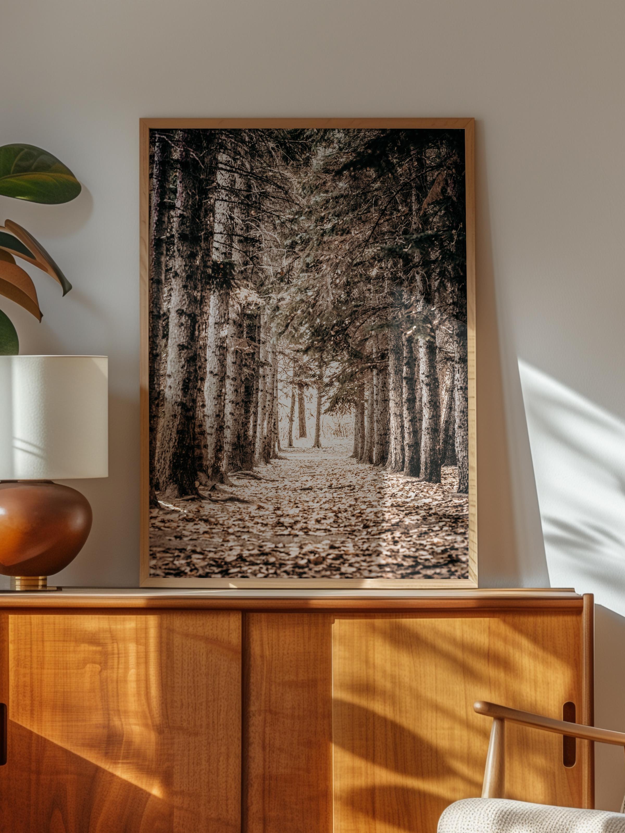 Rustic Çerçevesiz Poster, İskandinav Kahverengi Poster, NO:142 Orman Yolu Fotoğraf, Dikey