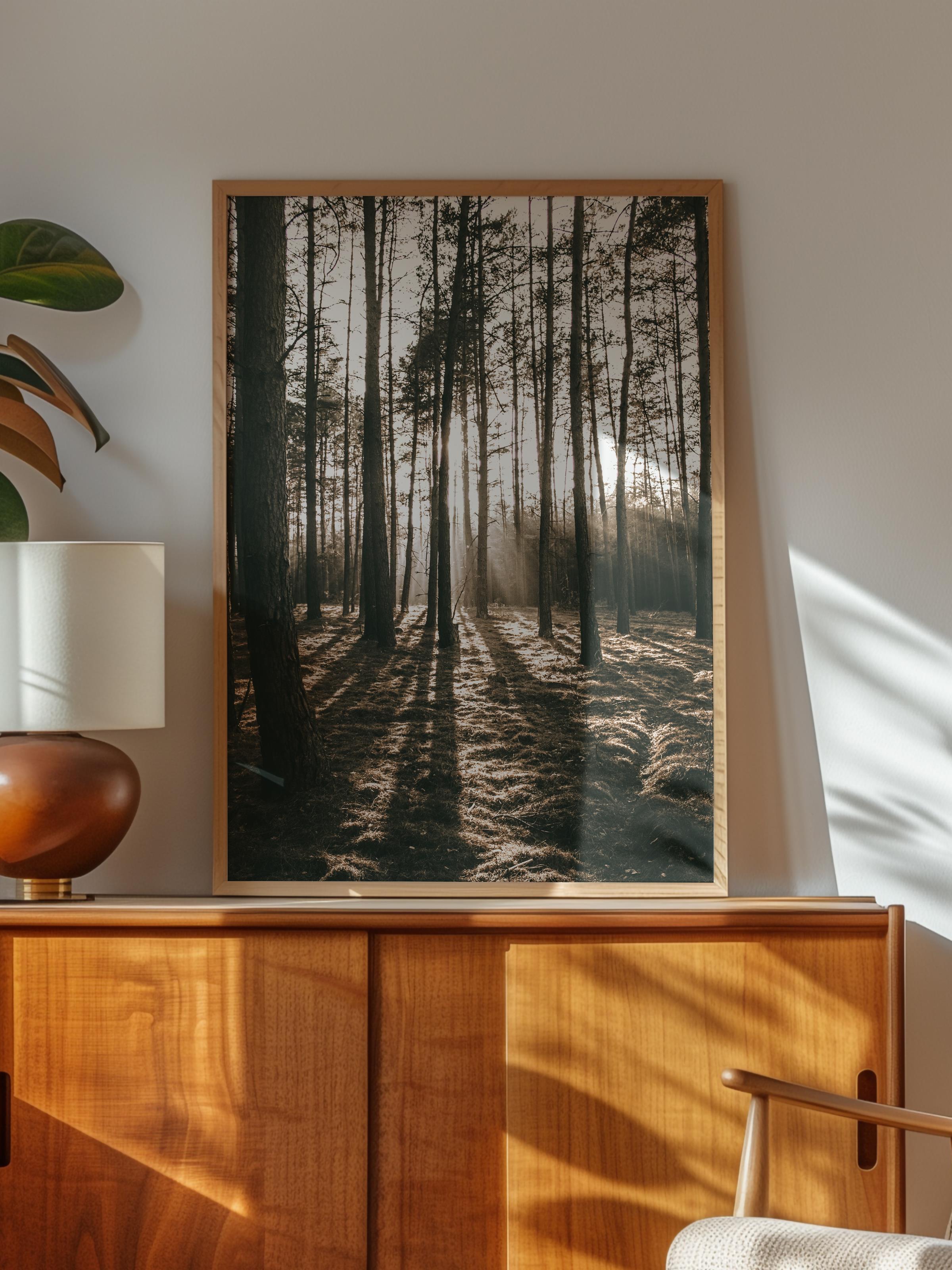 Rustic Çerçevesiz Poster, İskandinav Kahverengi Poster, NO:143 Orman Yolu ve Gölgeler Fotoğraf, Dikey