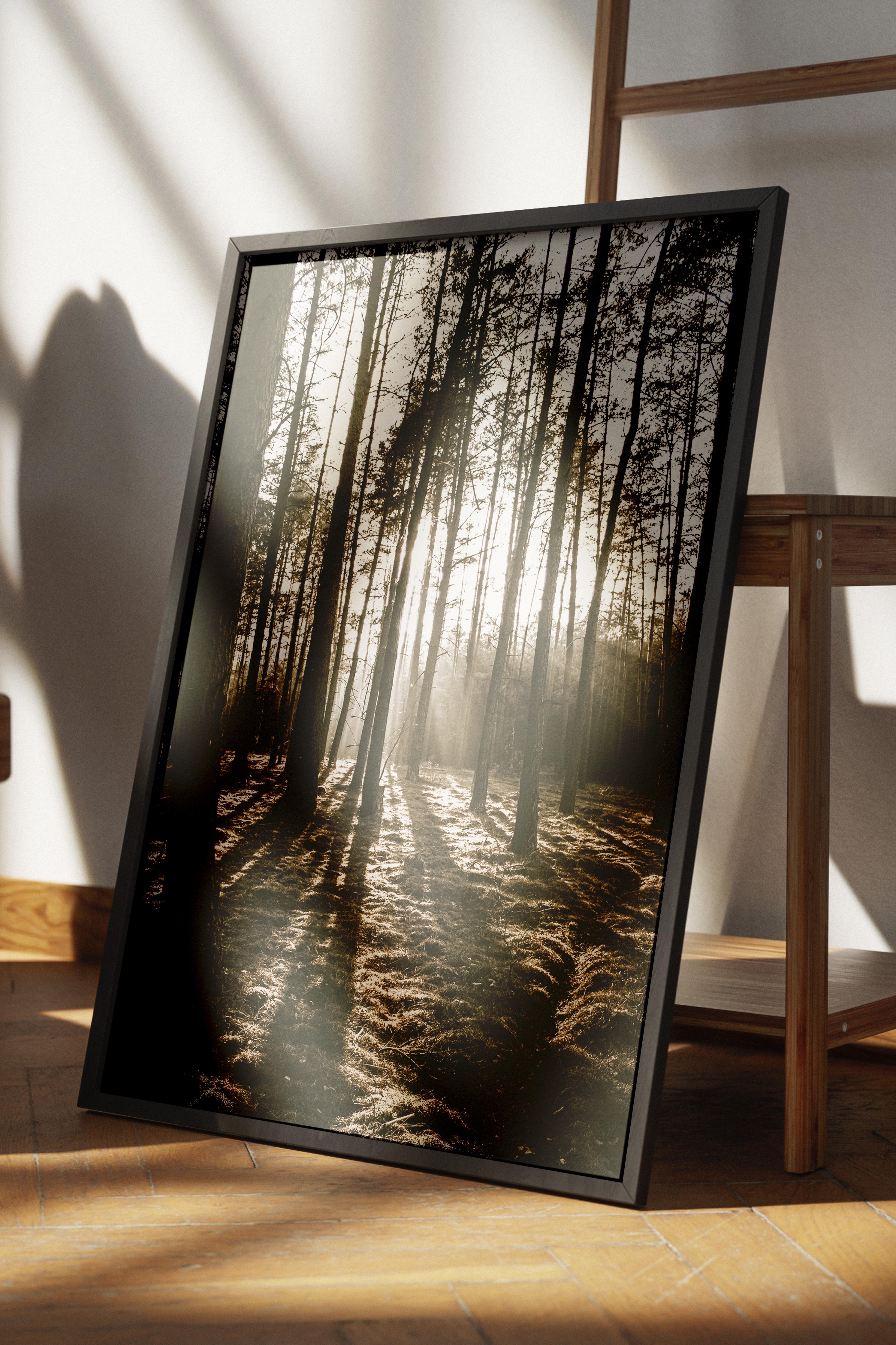 Rustic Çerçevesiz Poster, İskandinav Kahverengi Poster, NO:143 Orman Yolu ve Gölgeler Fotoğraf, Dikey
