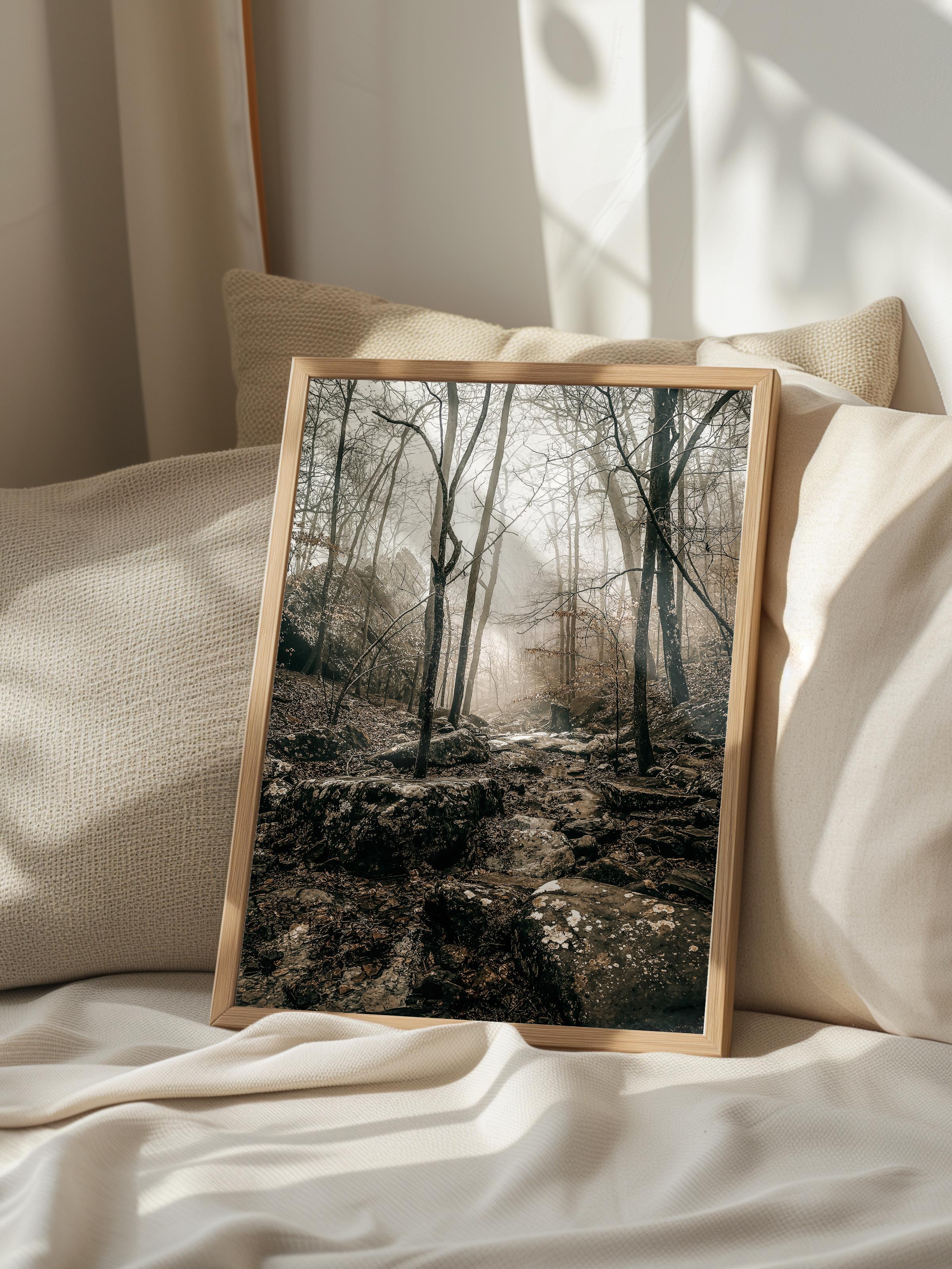 Rustic Çerçevesiz Poster, İskandinav Kahverengi Poster, NO:146 Orman ve Yosunlar Fotoğraf, Dikey