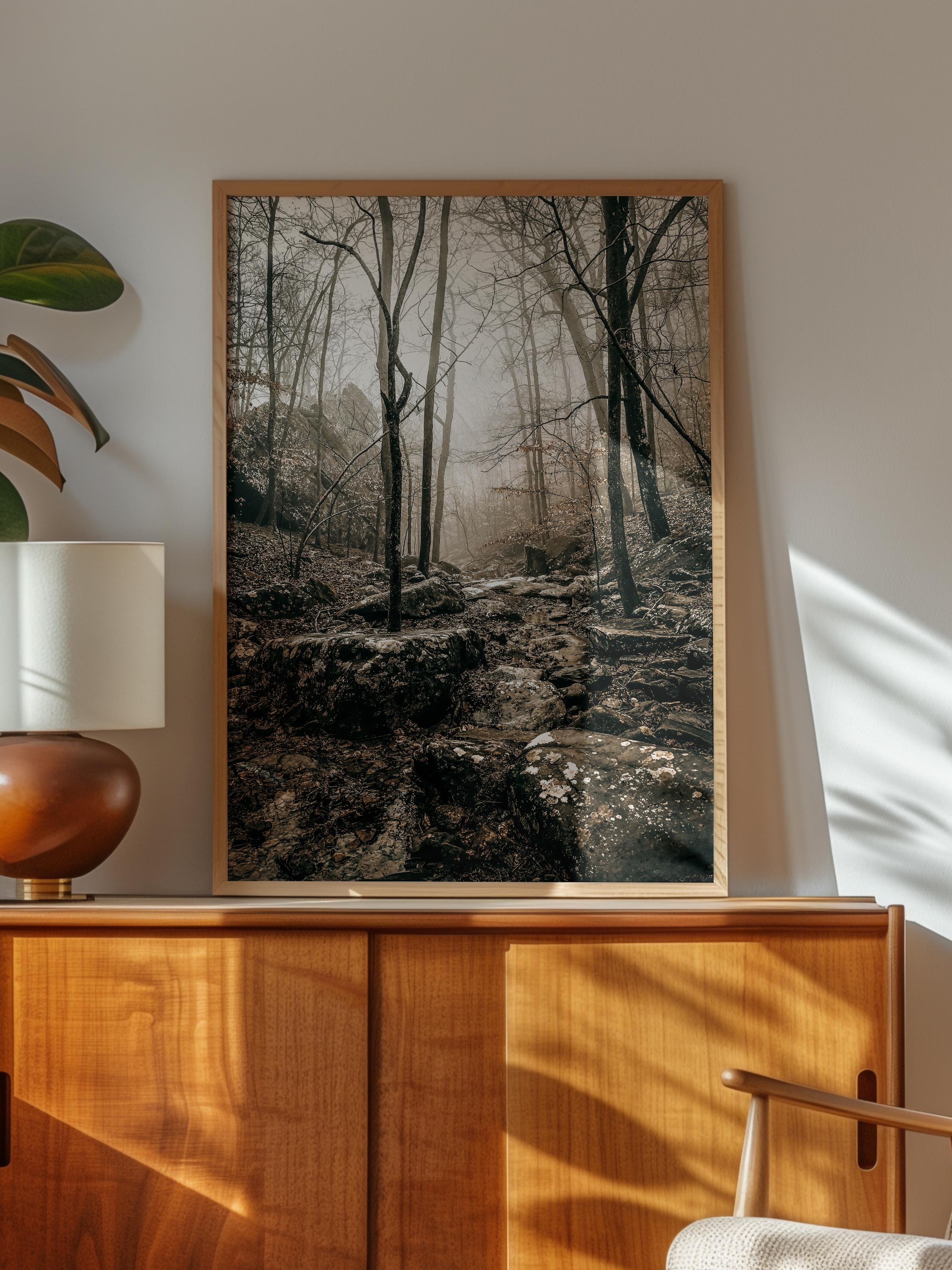 Rustic Çerçevesiz Poster, İskandinav Kahverengi Poster, NO:146 Orman ve Yosunlar Fotoğraf, Dikey