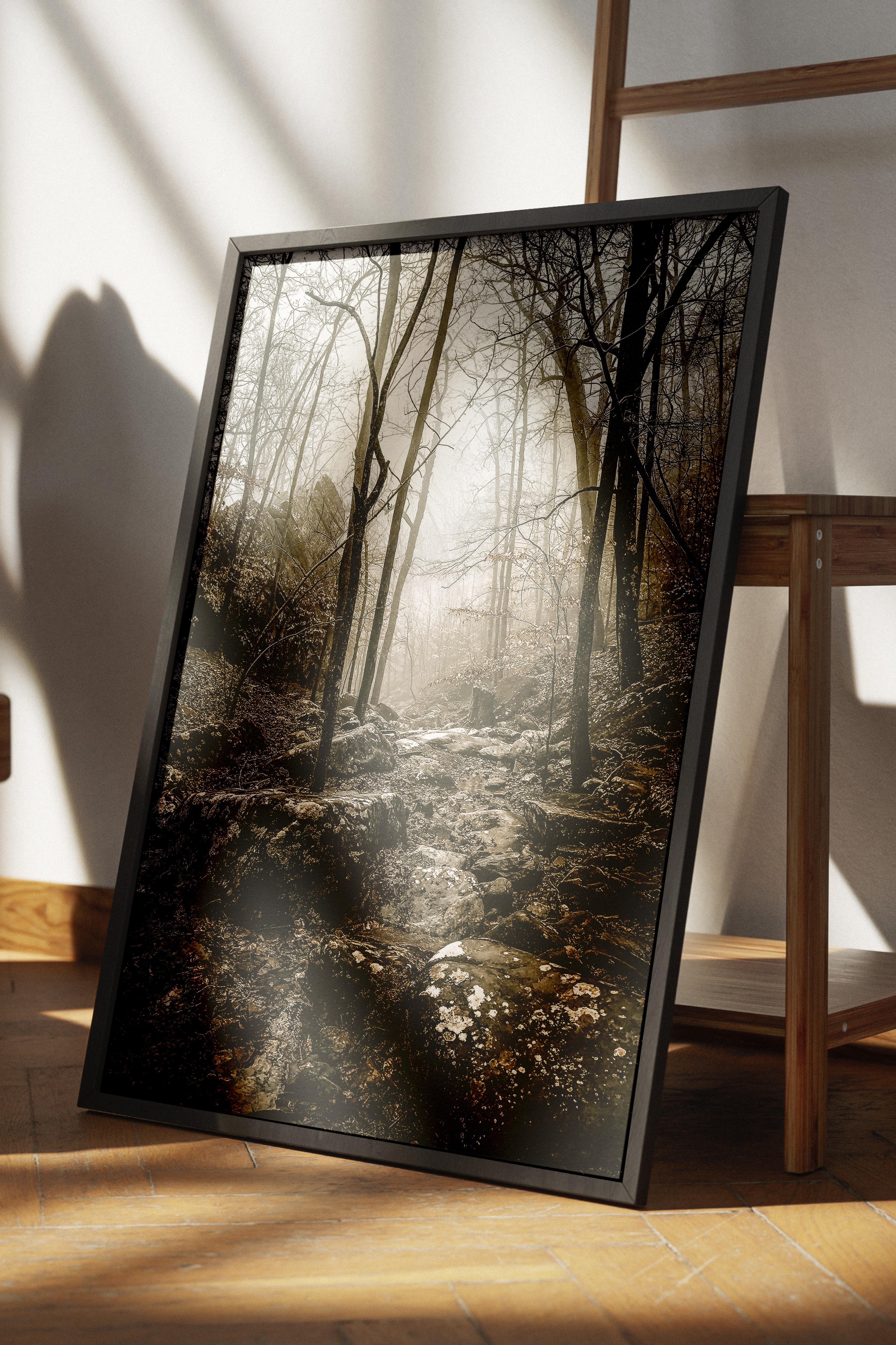 Rustic Çerçevesiz Poster, İskandinav Kahverengi Poster, NO:146 Orman ve Yosunlar Fotoğraf, Dikey