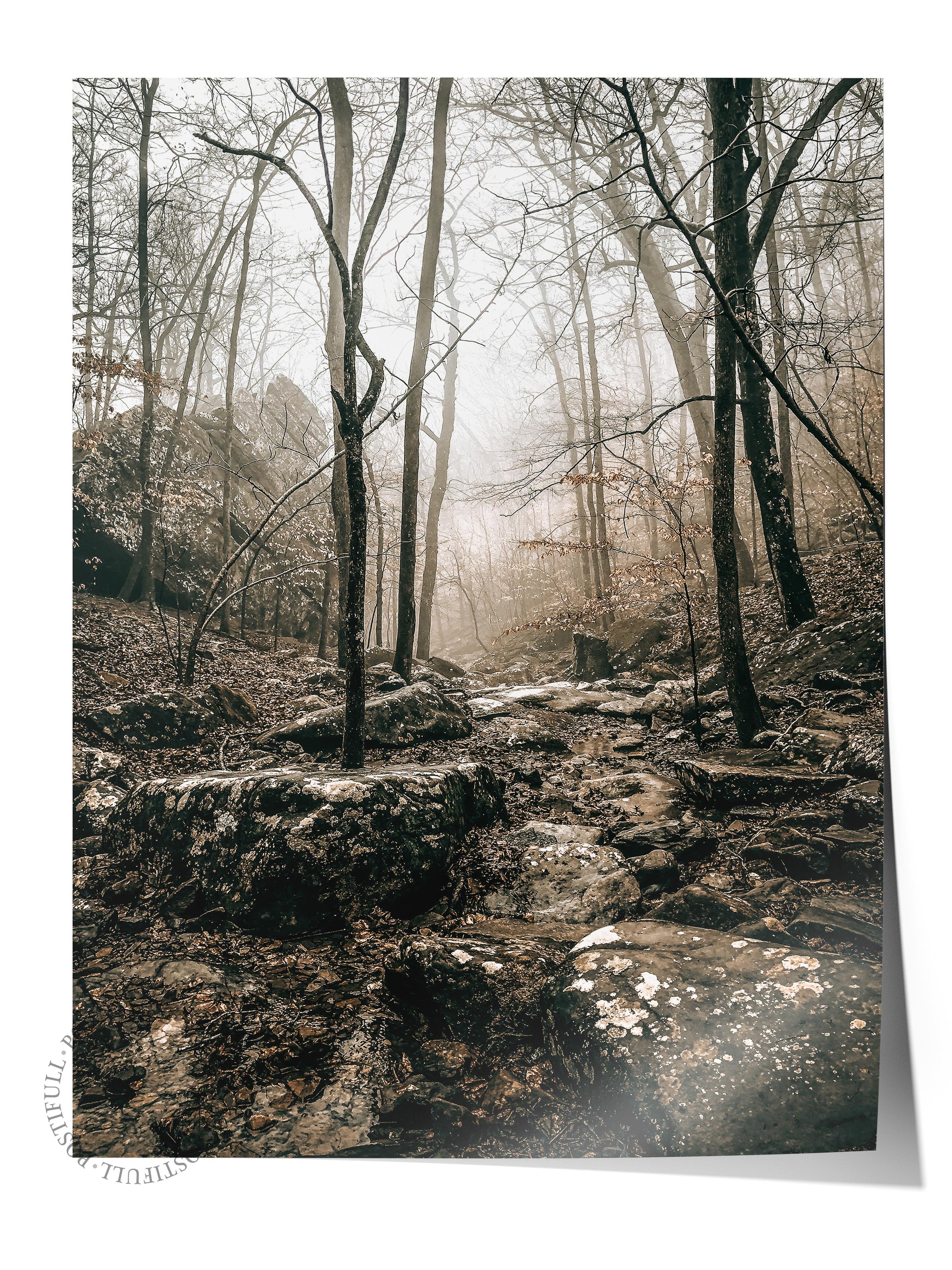 Rustic Çerçevesiz Poster, İskandinav Kahverengi Poster, NO:146 Orman ve Yosunlar Fotoğraf, Dikey
