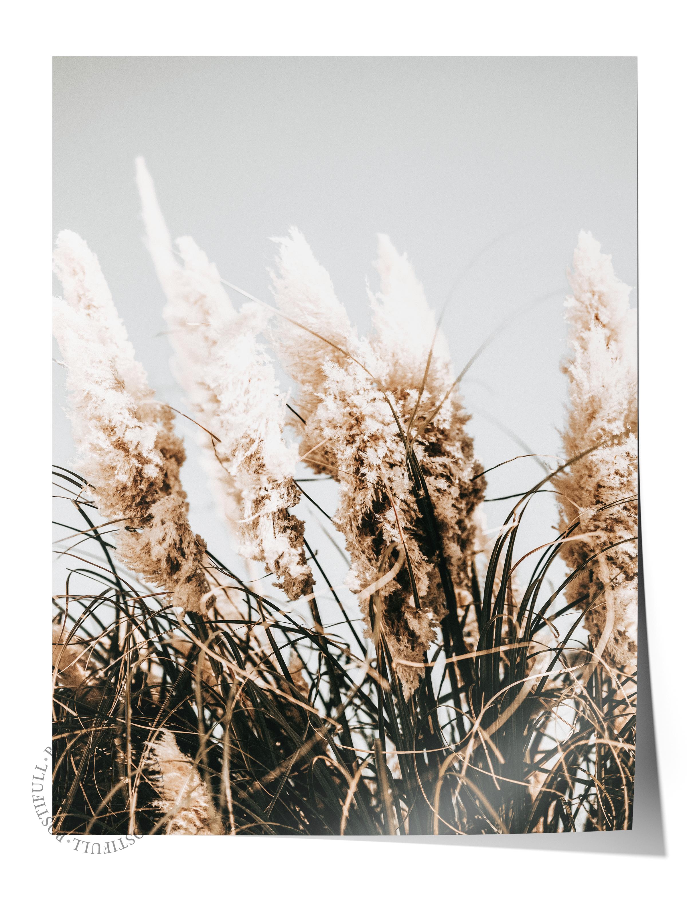 Rustic Çerçevesiz Poster, İskandinav Kahverengi Poster, NO:147 Kurutulmuş Bitkiler Fotoğraf, Dikey