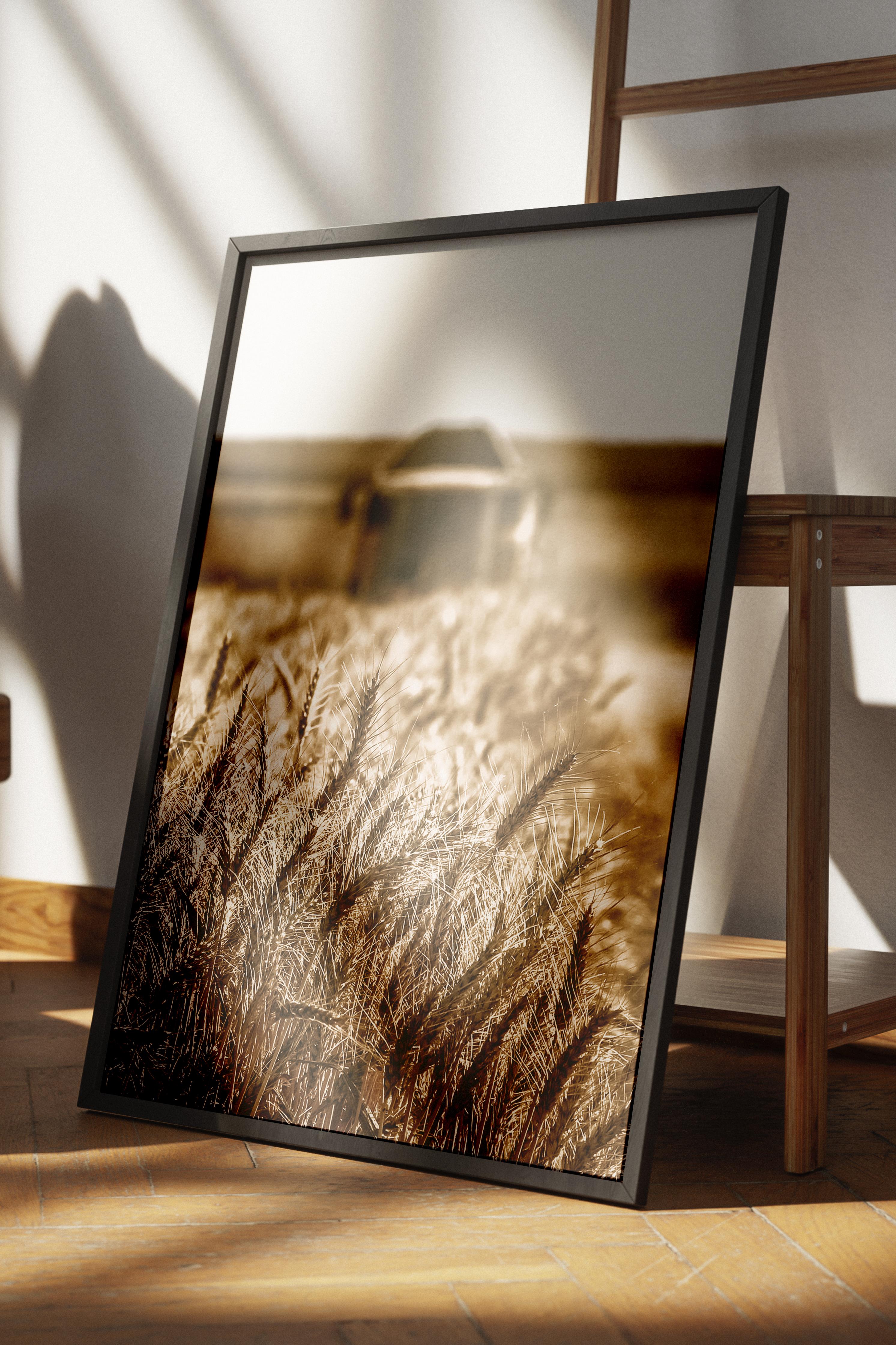 Rustic Çerçevesiz Poster, İskandinav Kahverengi Poster, NO:148 Tarla ve Gölge Fotoğraf, Dikey
