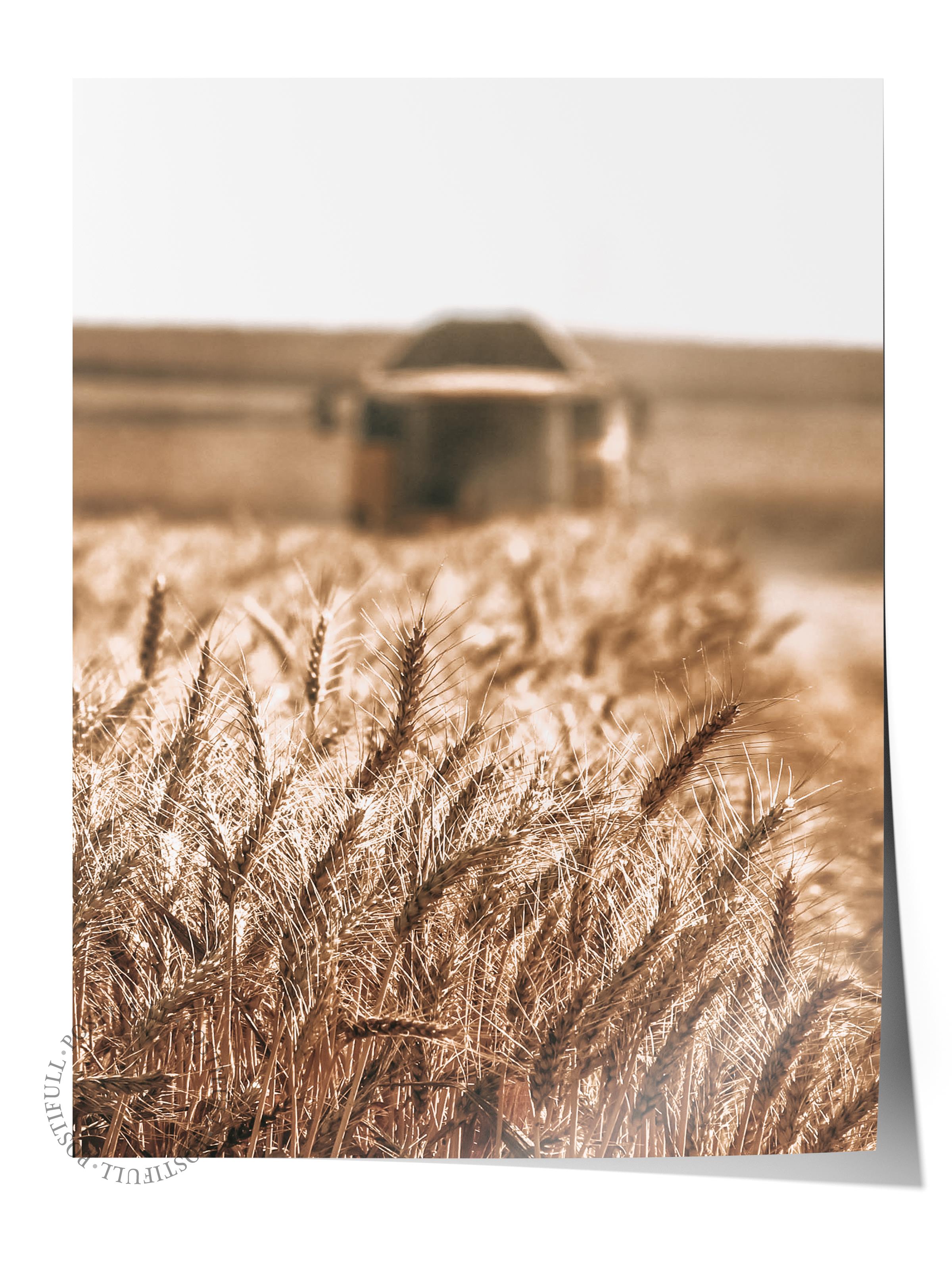 Rustic Çerçevesiz Poster, İskandinav Kahverengi Poster, NO:148 Tarla ve Gölge Fotoğraf, Dikey