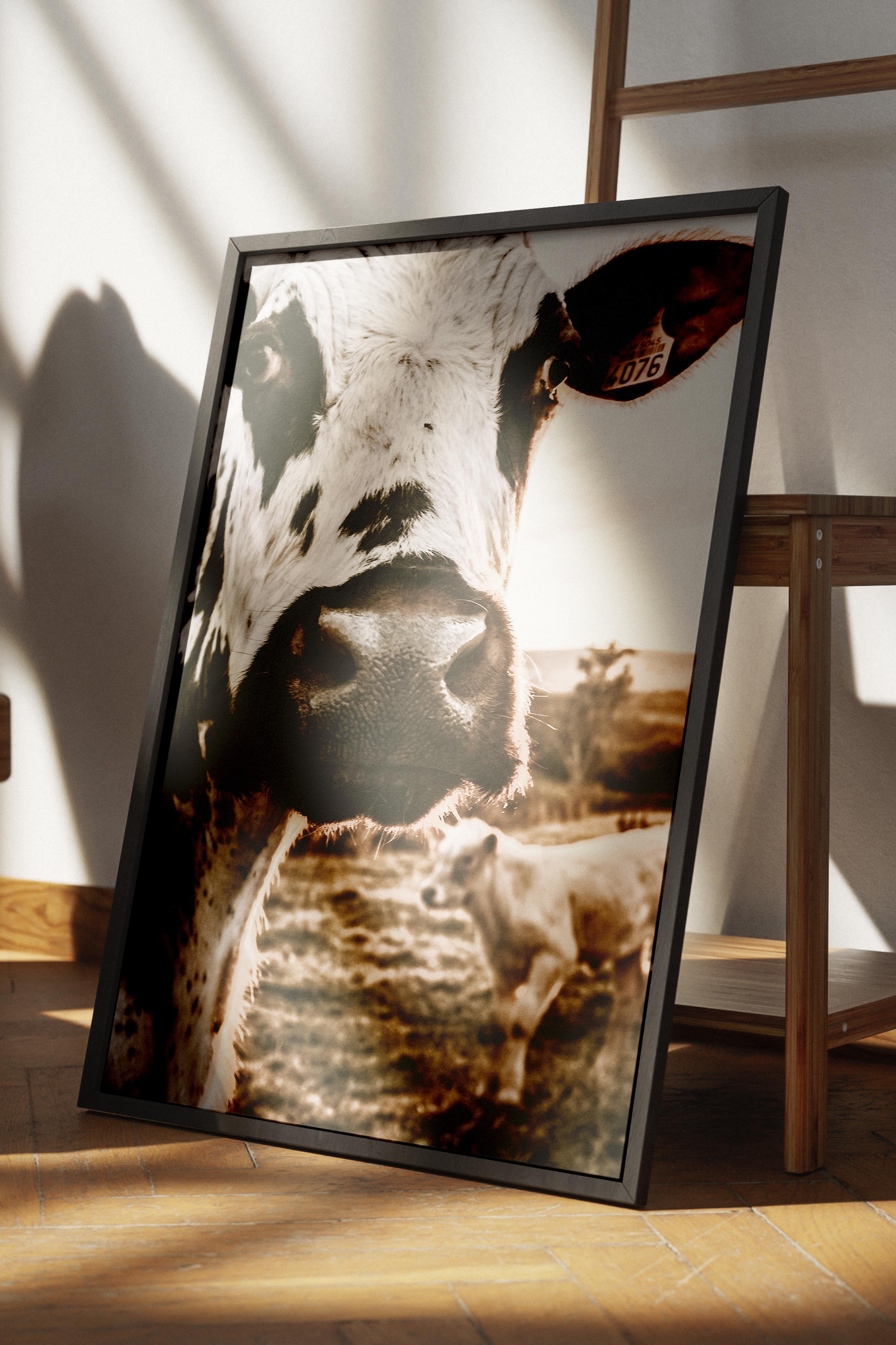 Rustic Çerçevesiz Poster, İskandinav Kahverengi Poster, NO:150 İnek Yakın Plan Fotoğraf, Dikey