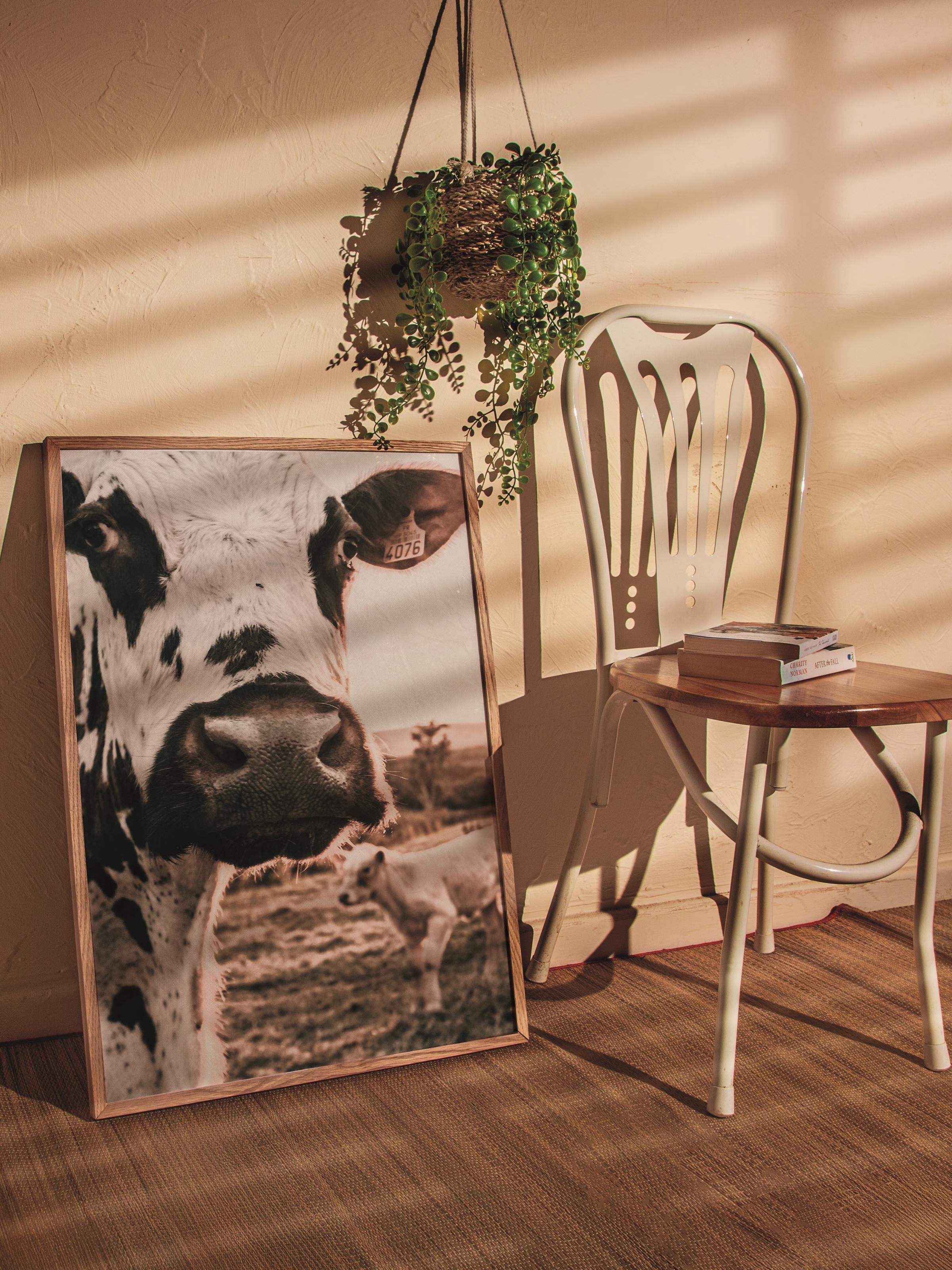 Rustic Çerçevesiz Poster, İskandinav Kahverengi Poster, NO:150 İnek Yakın Plan Fotoğraf, Dikey