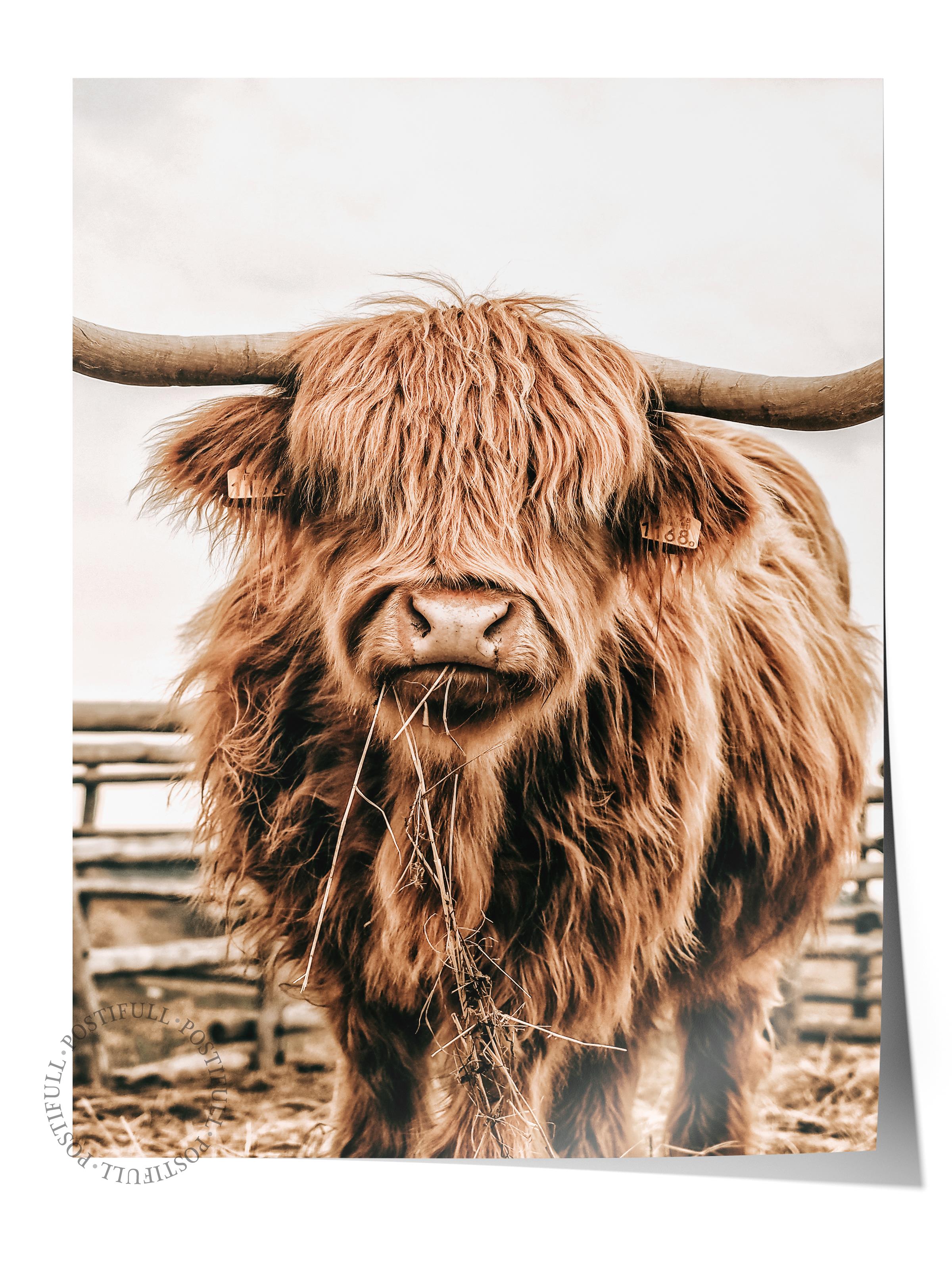 Rustic Çerçevesiz Poster, İskandinav Kahverengi Poster, NO:151 Bison Yakın Plan Fotoğraf, Dikey