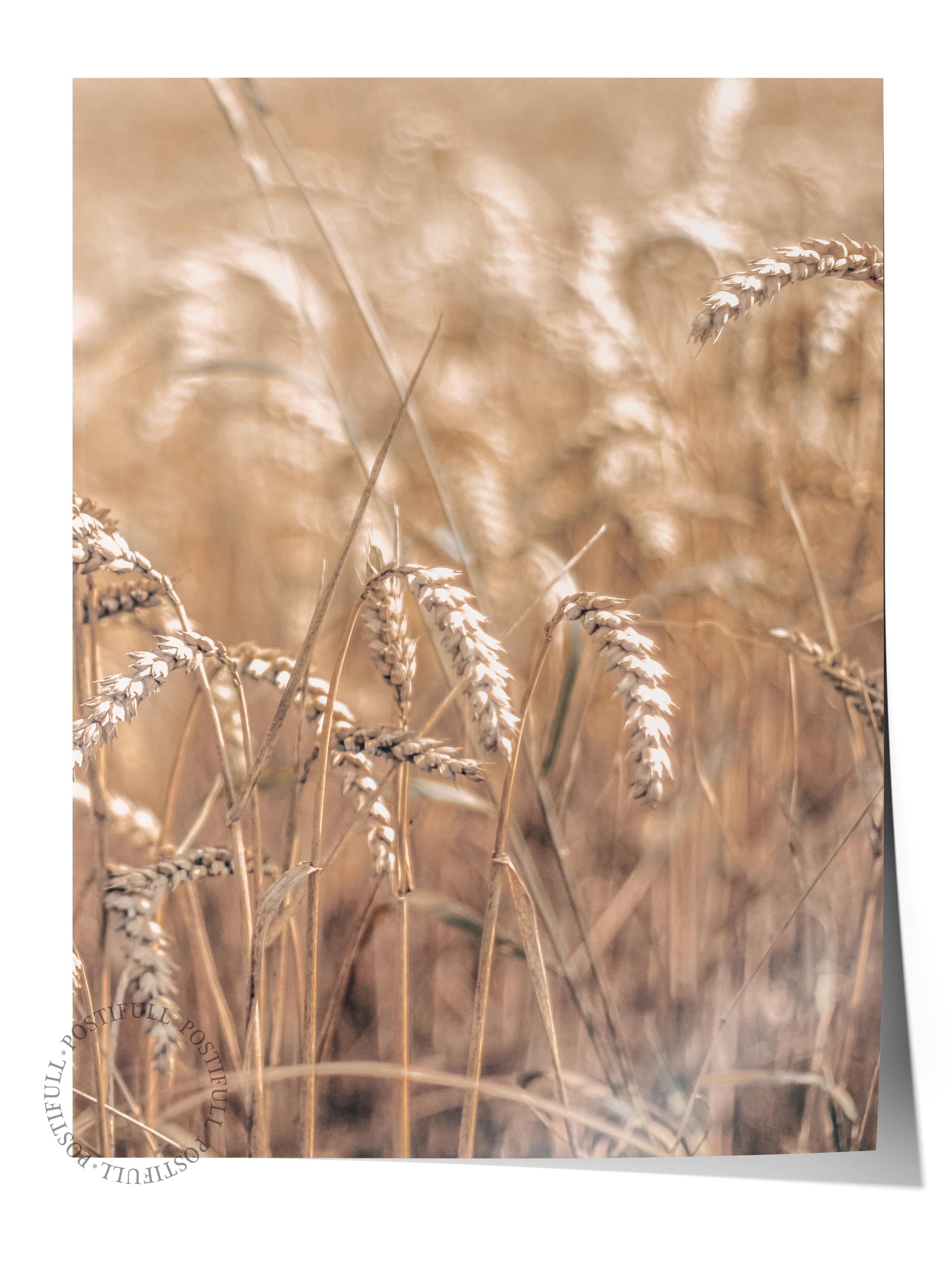 Rustic Çerçevesiz Poster, İskandinav Kahverengi Poster, NO:153 Tarla ve Bitkiler Fotoğraf, Dikey