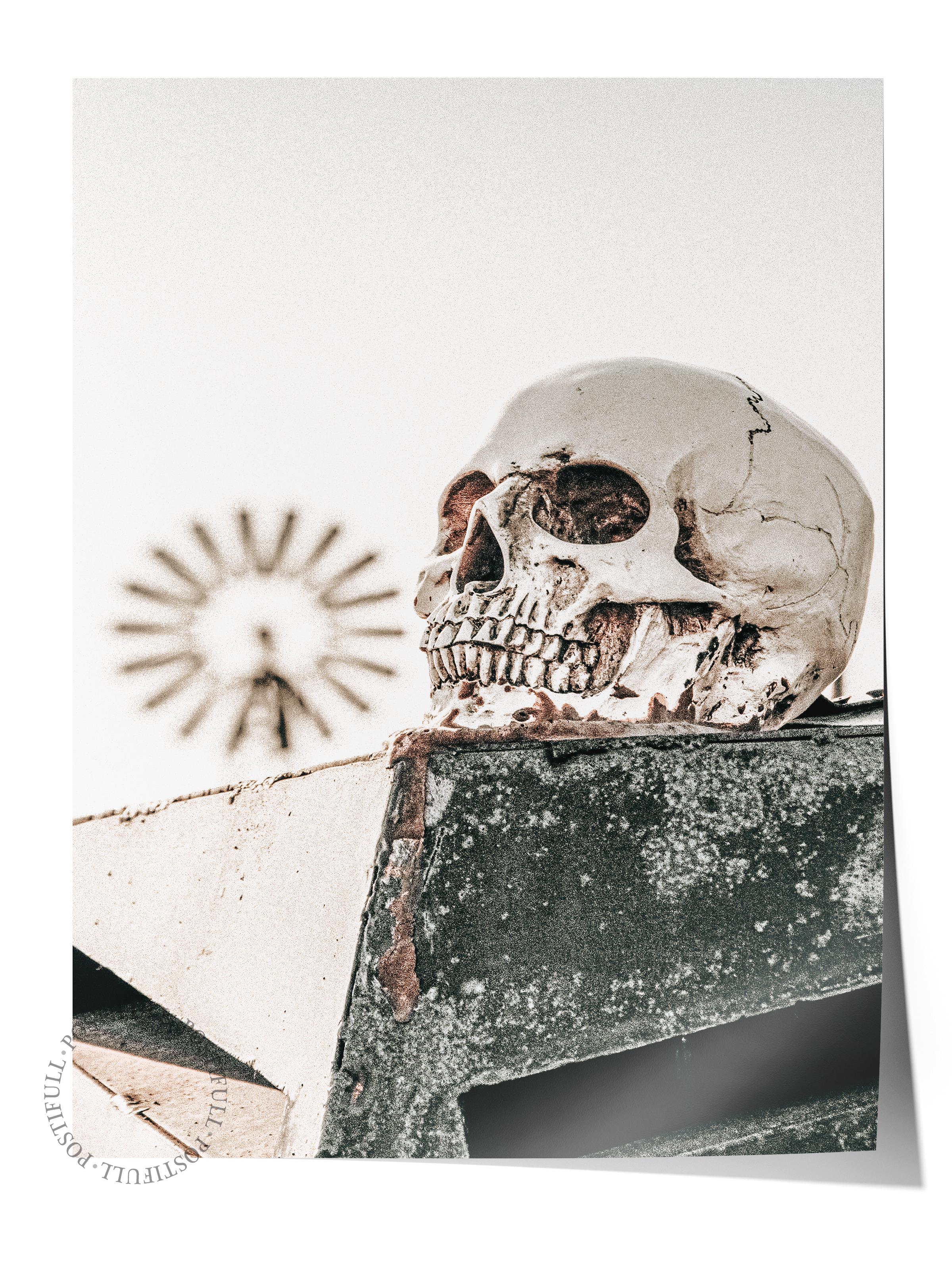 Rustic Çerçevesiz Poster, İskandinav Kahverengi Poster, NO:155 Kuru Kafa ve Değirmen Fotoğraf, Dikey