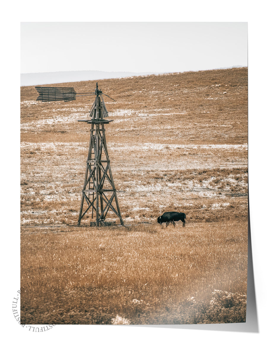Rüzgar Değirmeni ve Bizon Rustic Çerçevesiz Poster