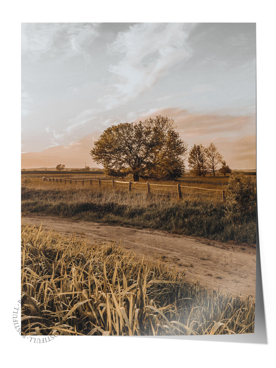 Gün Batımında Yalnız Ağaç Rustic Çerçevesiz Poster