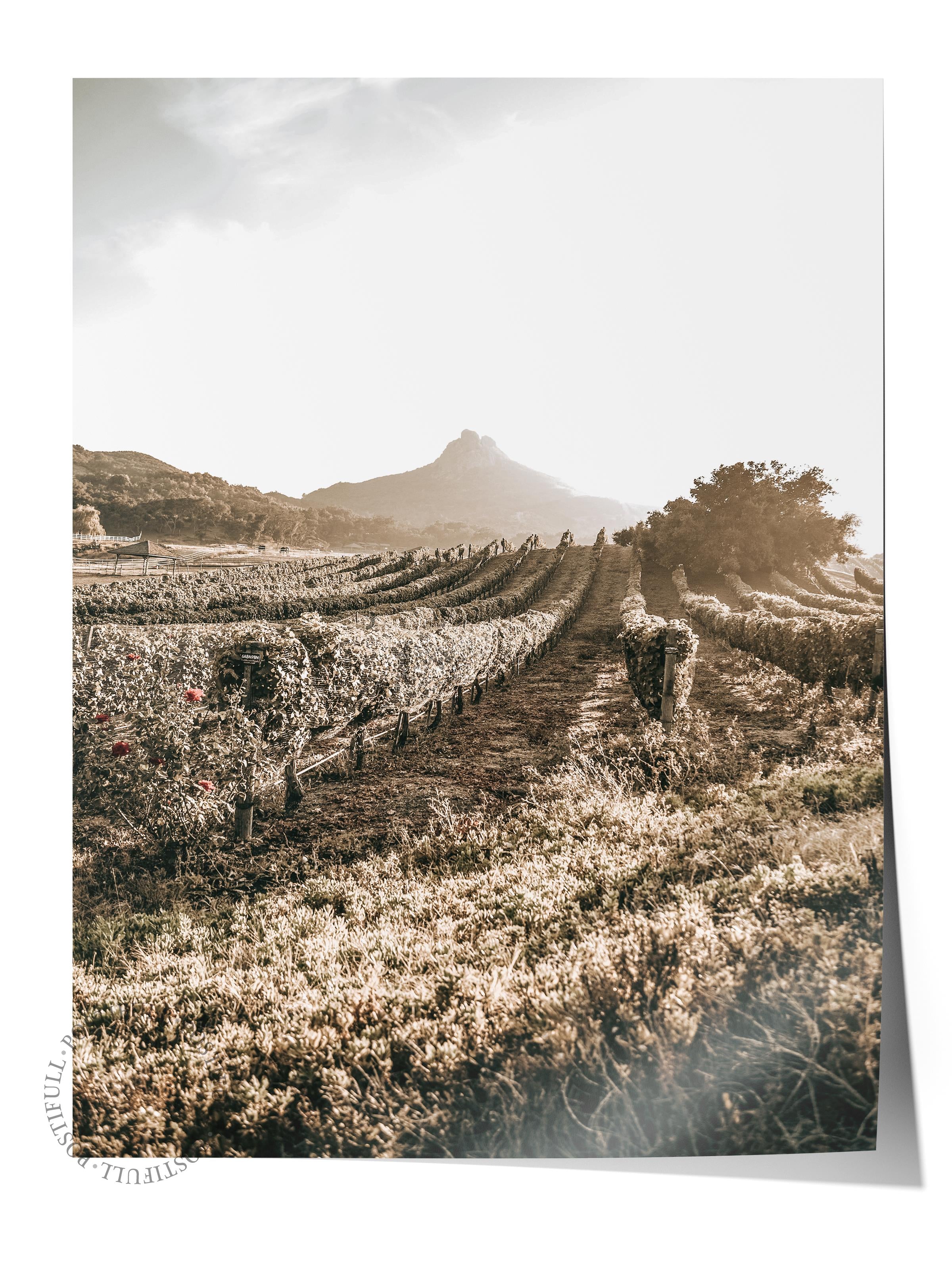 Rustic Çerçevesiz Poster, İskandinav Kahverengi Poster, NO:161 Dağ ve Çimenler Fotoğraf, Dikey