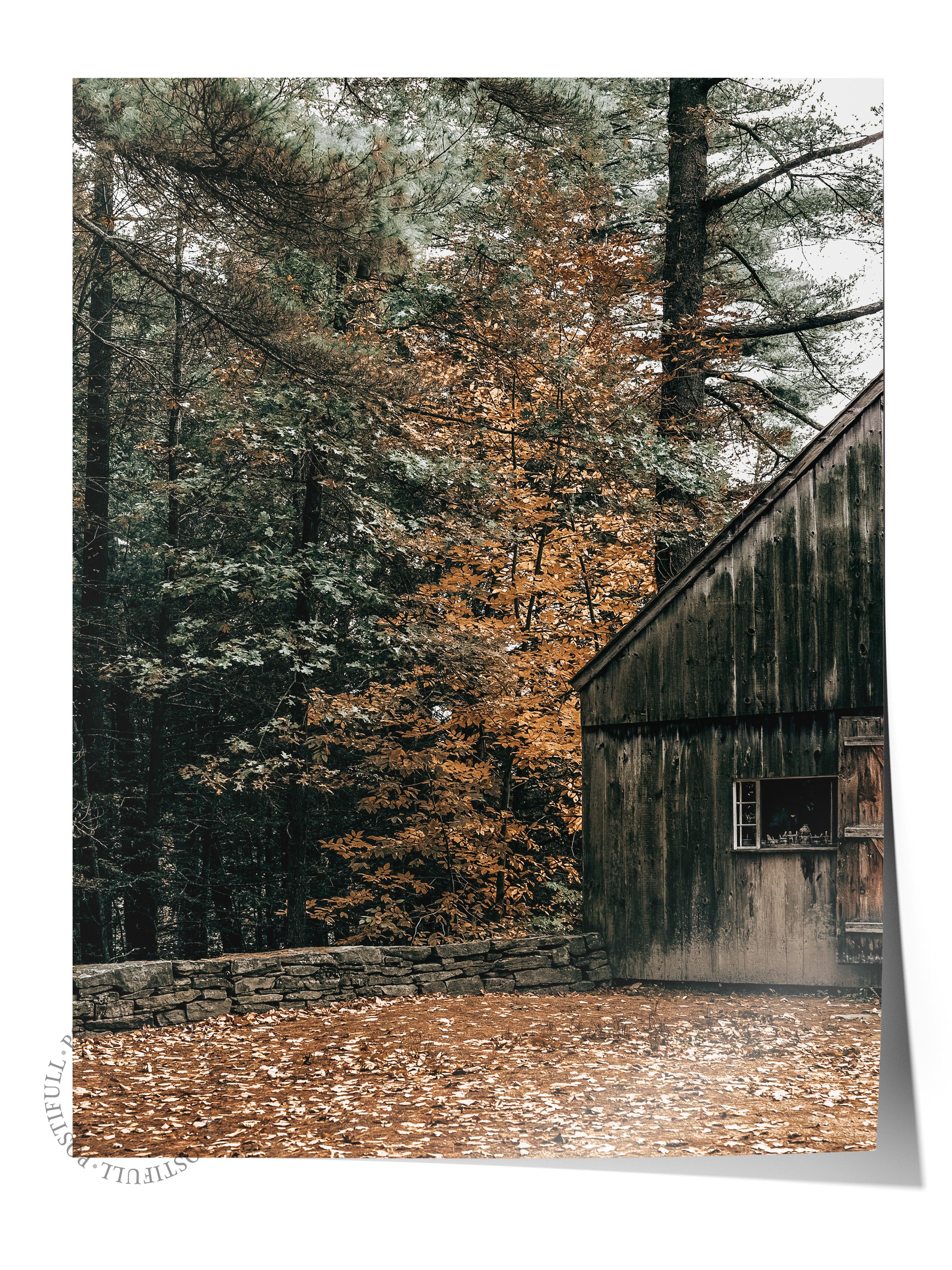 Rustic Çerçevesiz Poster, İskandinav Kahverengi Poster, NO:164 Ağaç ve Orman Fotoğraf, Dikey