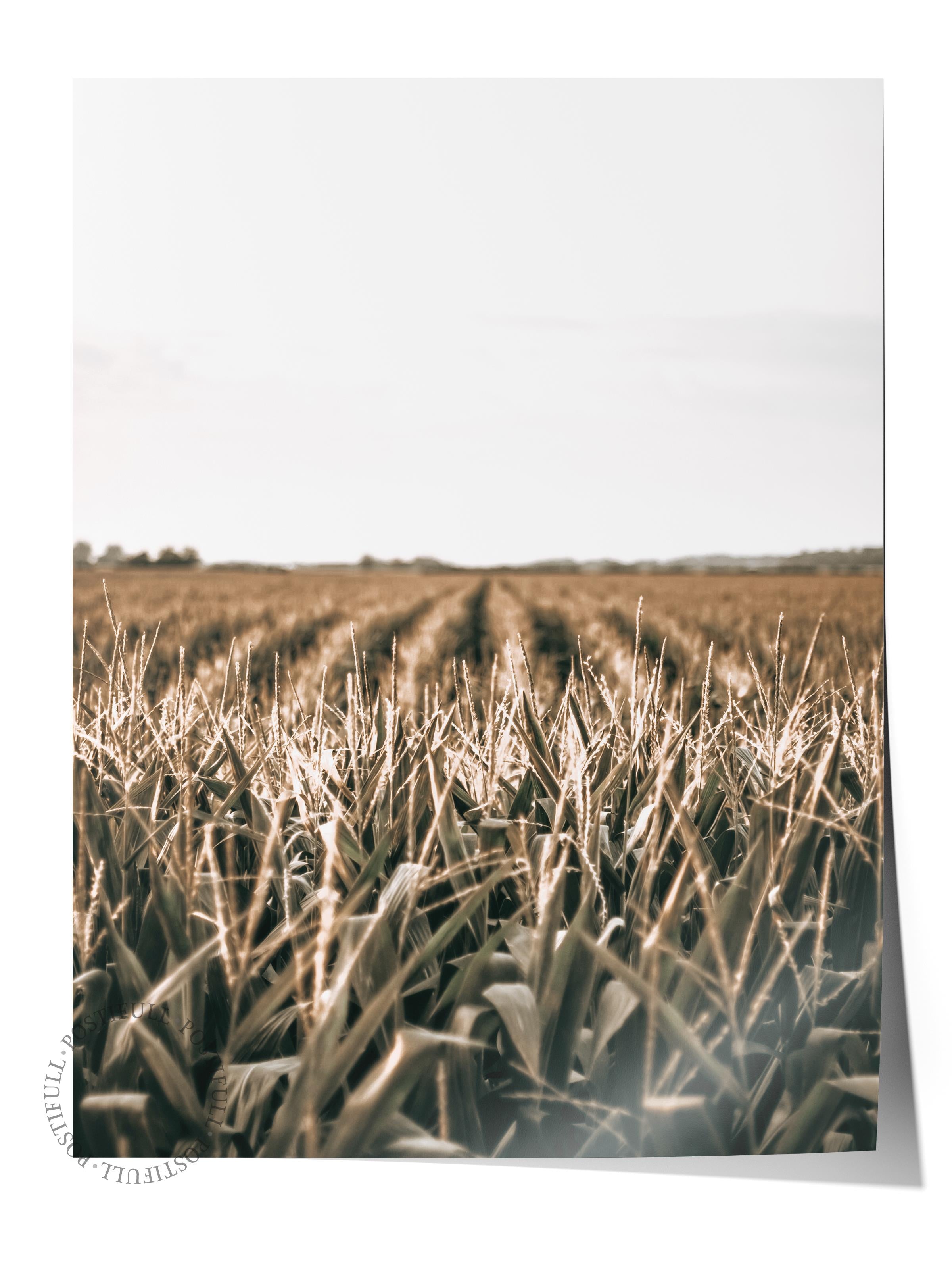 Rustic Çerçevesiz Poster, İskandinav Kahverengi Poster, NO:165 Çiftlik Tarlası Fotoğraf, Dikey