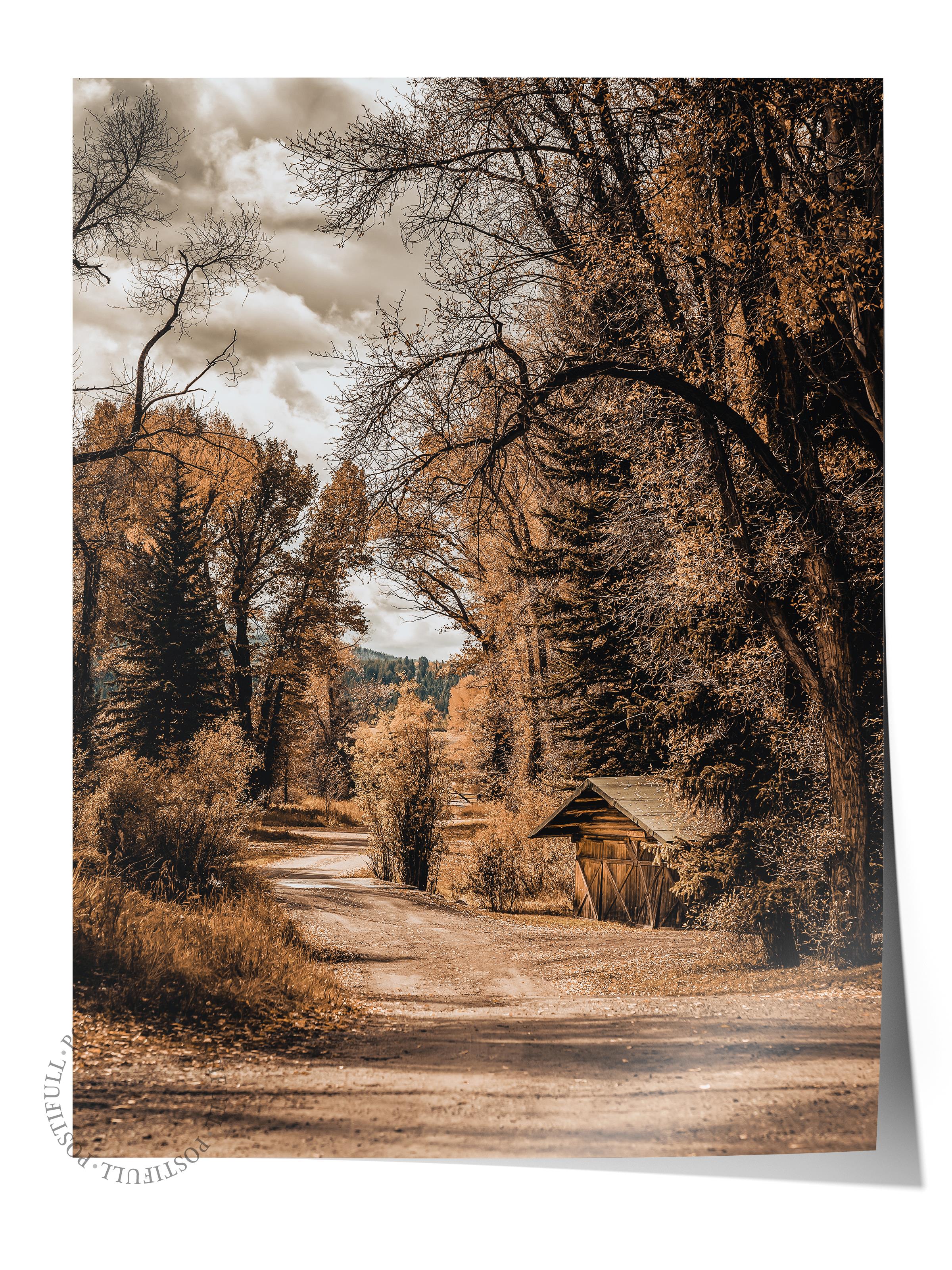 Rustic Çerçevesiz Poster, İskandinav Kahverengi Poster, NO:17 Orman Yolu Fotoğraf, Dikey