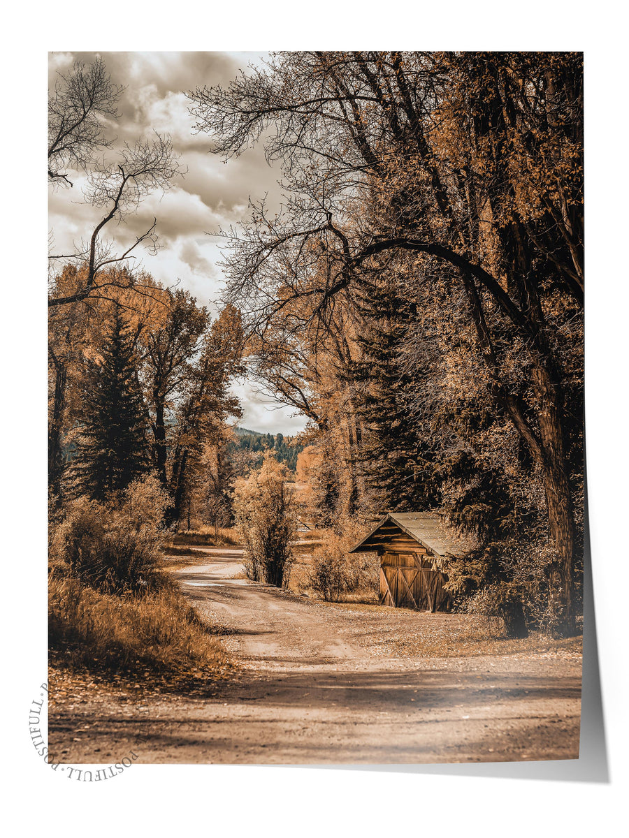 Sonbahar Ormanında Toprak Yol Rustic Çerçevesiz Poster