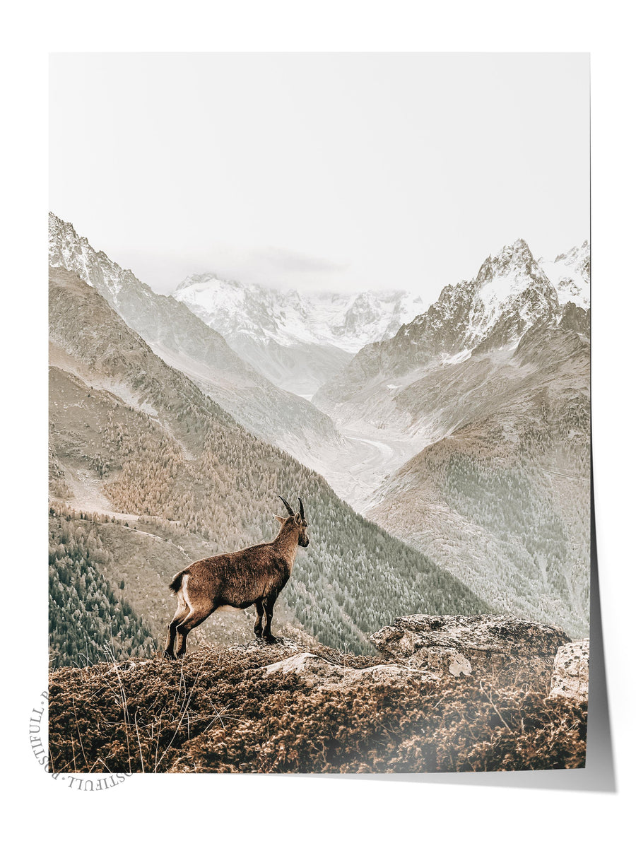 Dağ Manzarasında Keçi Rustic Çerçevesiz Poster